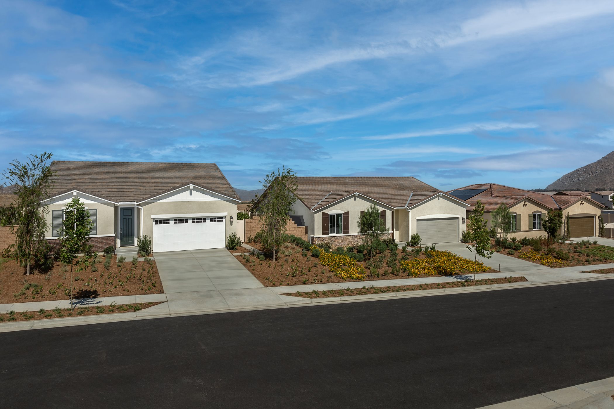 Street view of single-family homes in the community