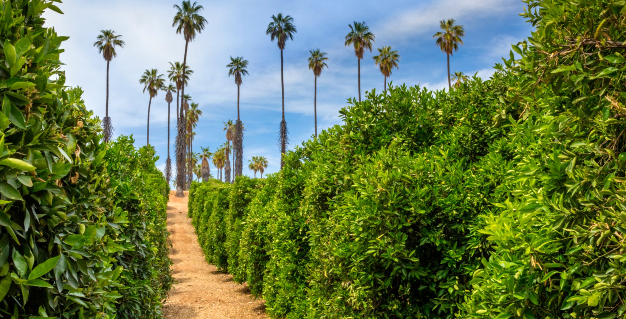 The California Citrus State Historic Park walkway