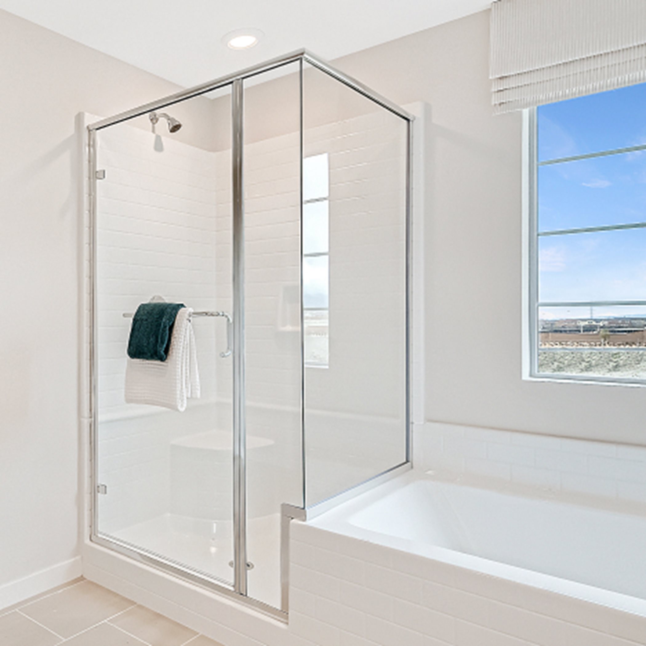 Owner's separate shower and tub