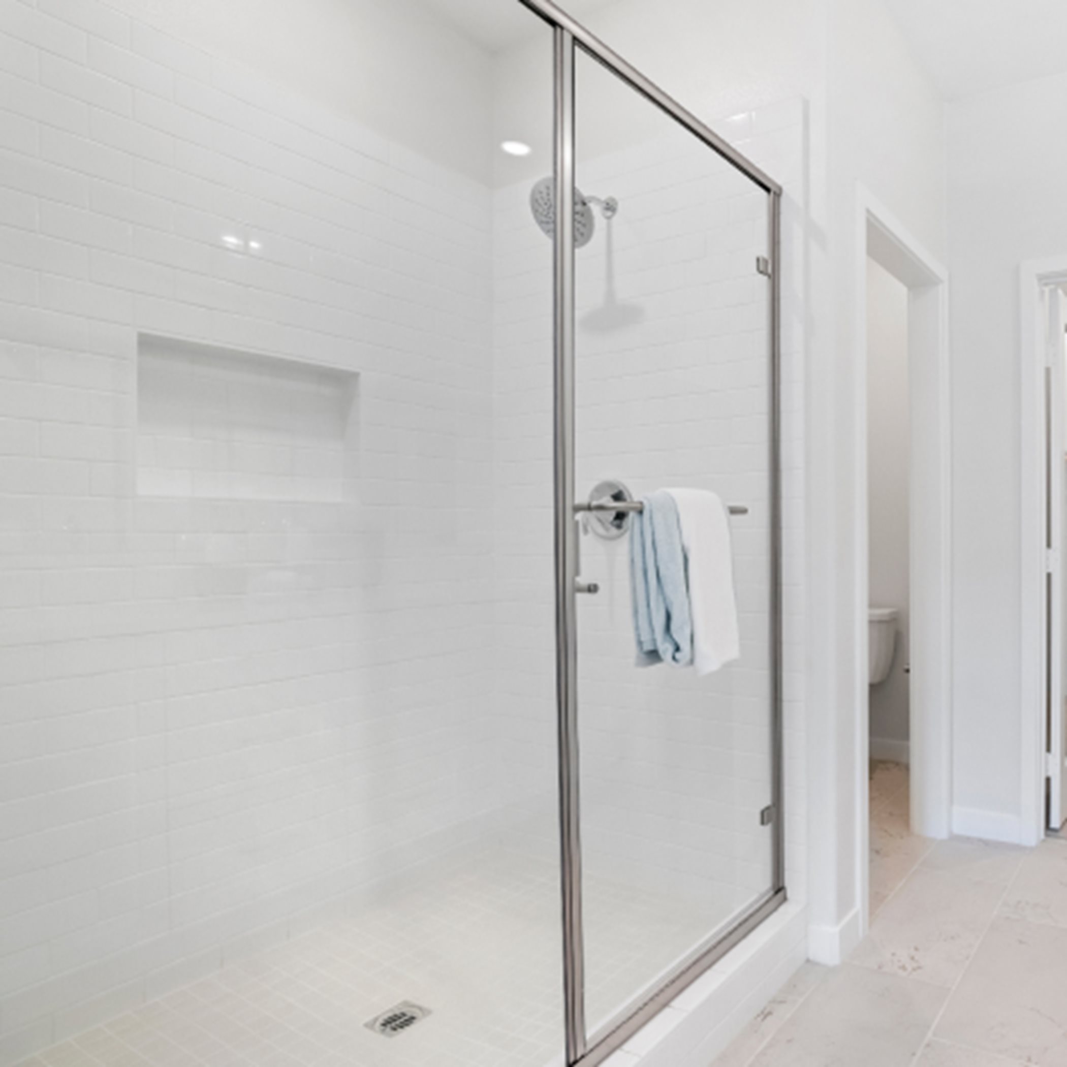 Glass-enclosed shower