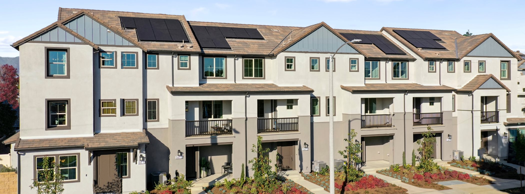 Picture of townhomes in Jade community