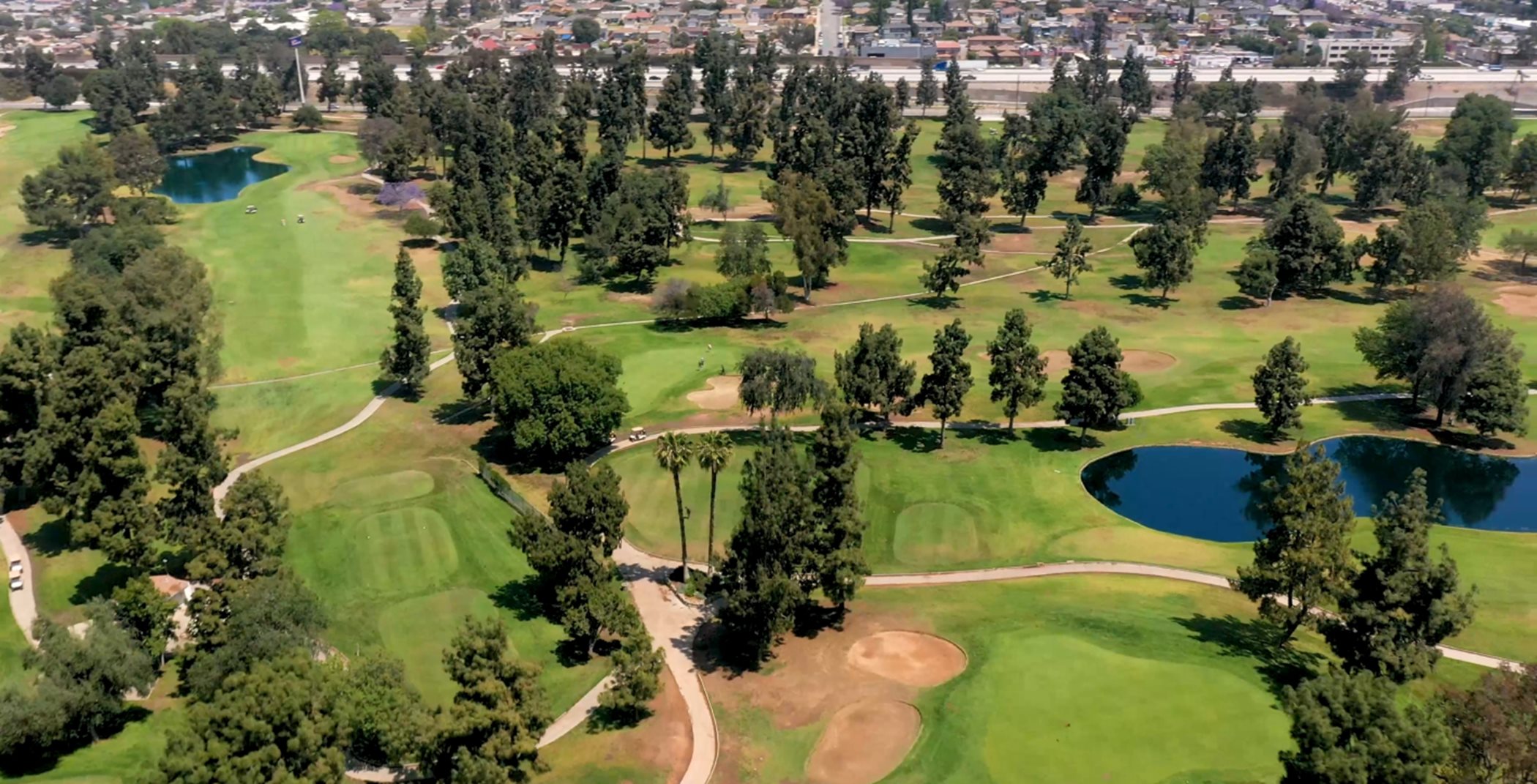 Aerial view of a golf course with lots of evergreen trees