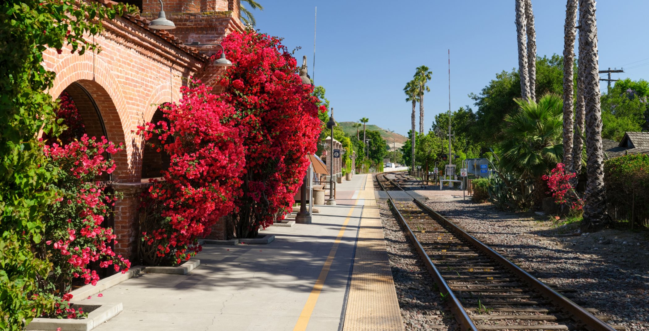 Train station with pink flowers
