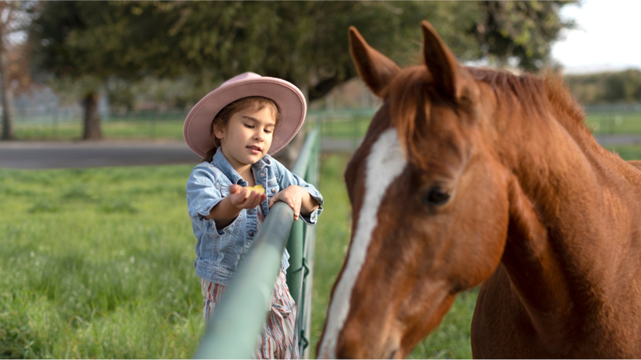 Child looking at a horse over a fence