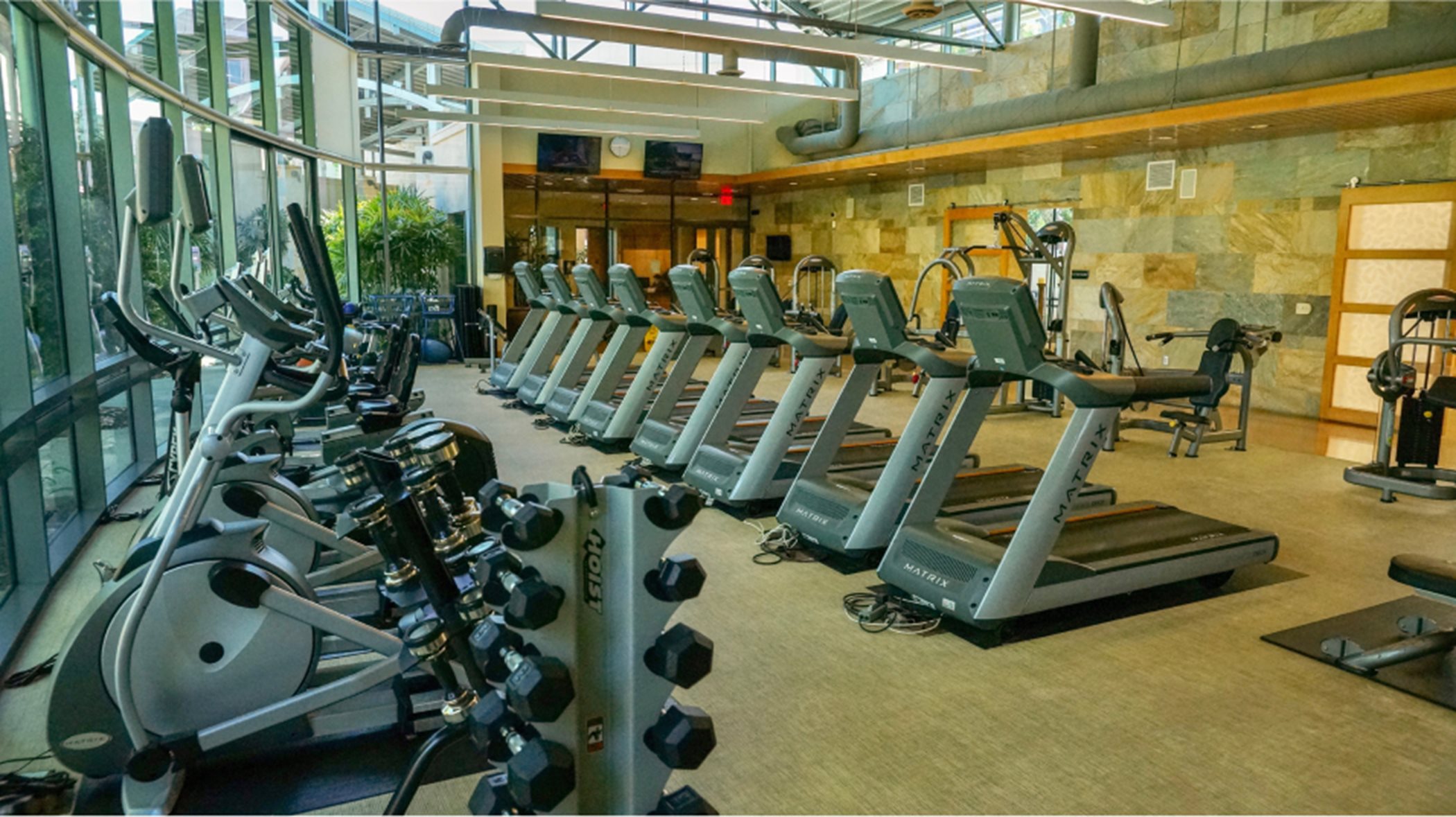 Fitness center interior with rows of treadmills