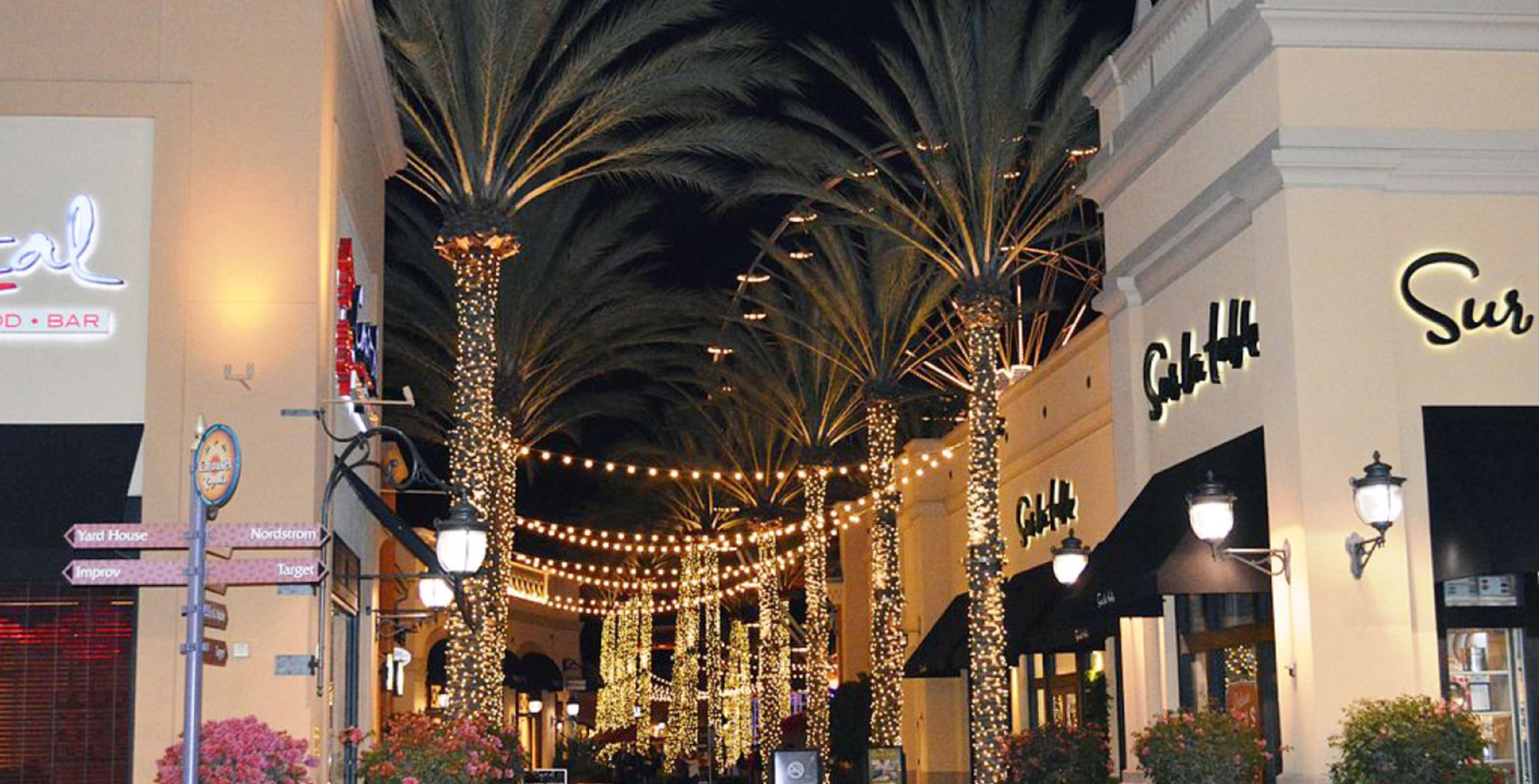 Irvine Spectrum outdoor mall with palm trees and fairy lights at night
