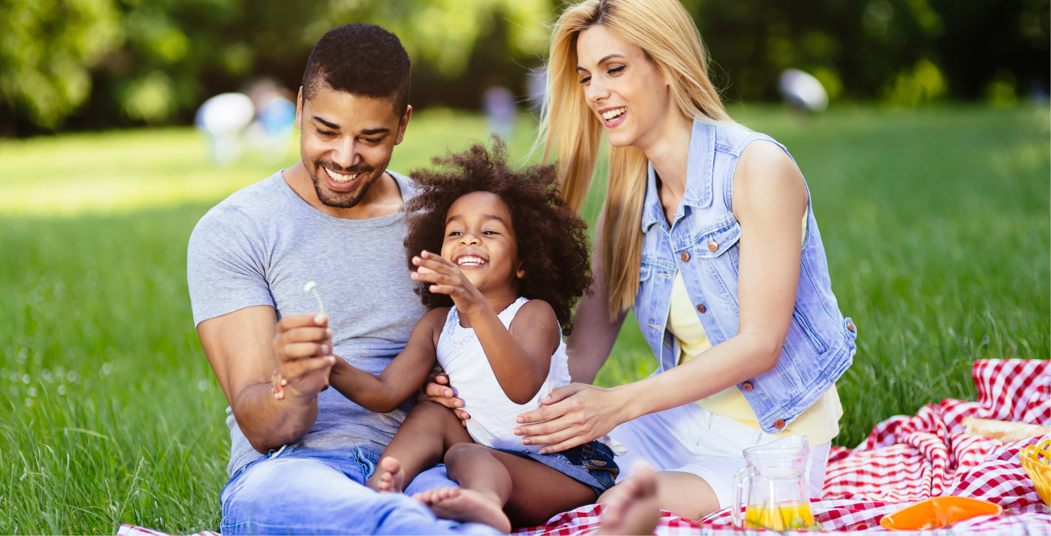 Stock image of family enjoying a picnic in the park