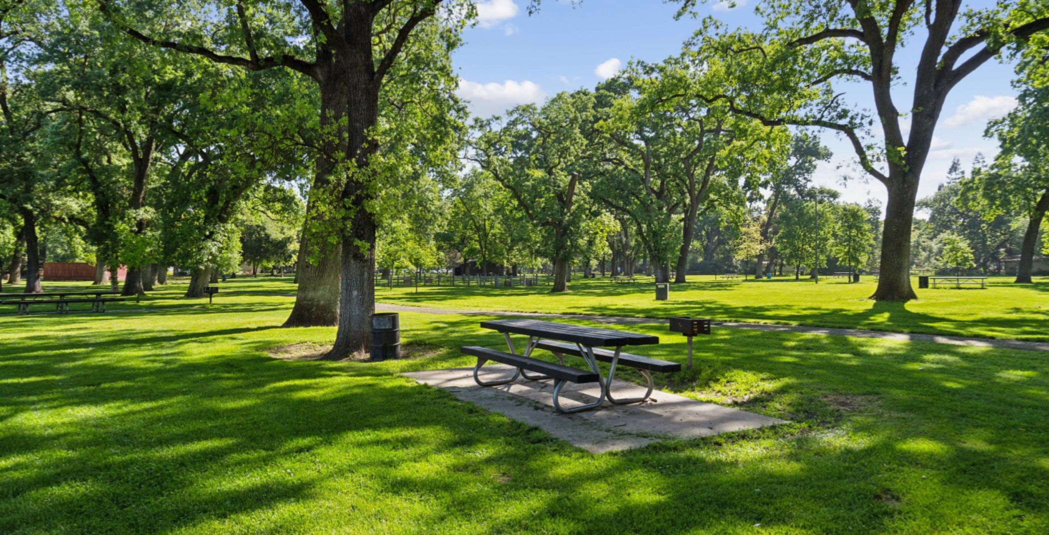 Shumway Oak Grove regional park with lots of tree shade
