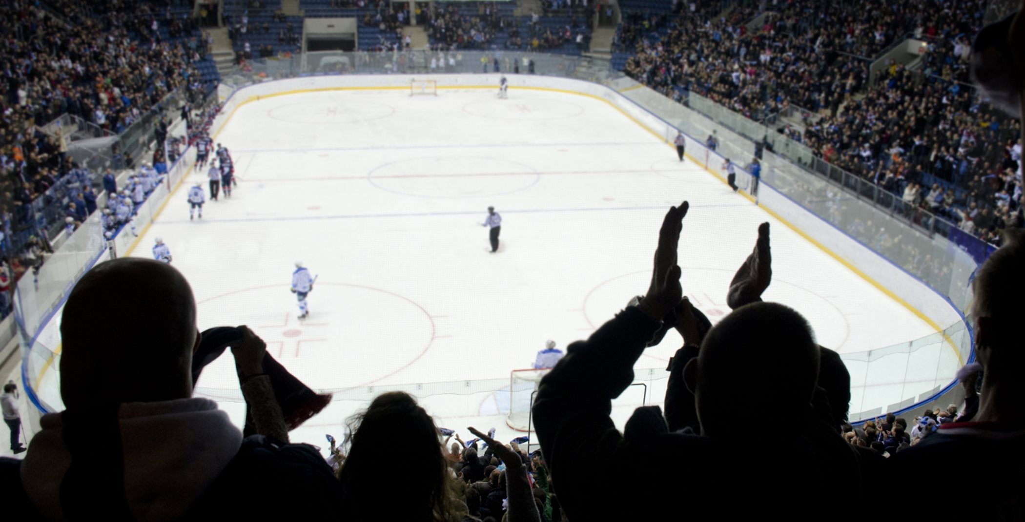 Fans cheering at ice hockey game