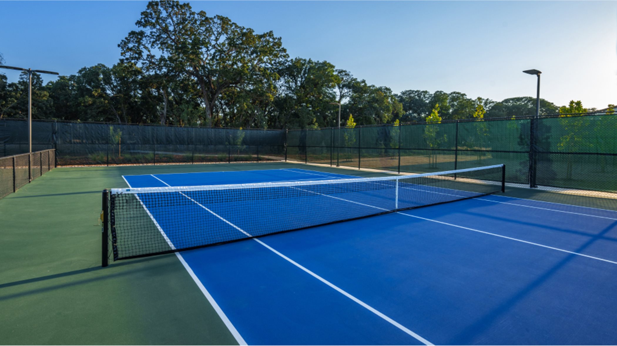 Amenity Pickle Ball Court 