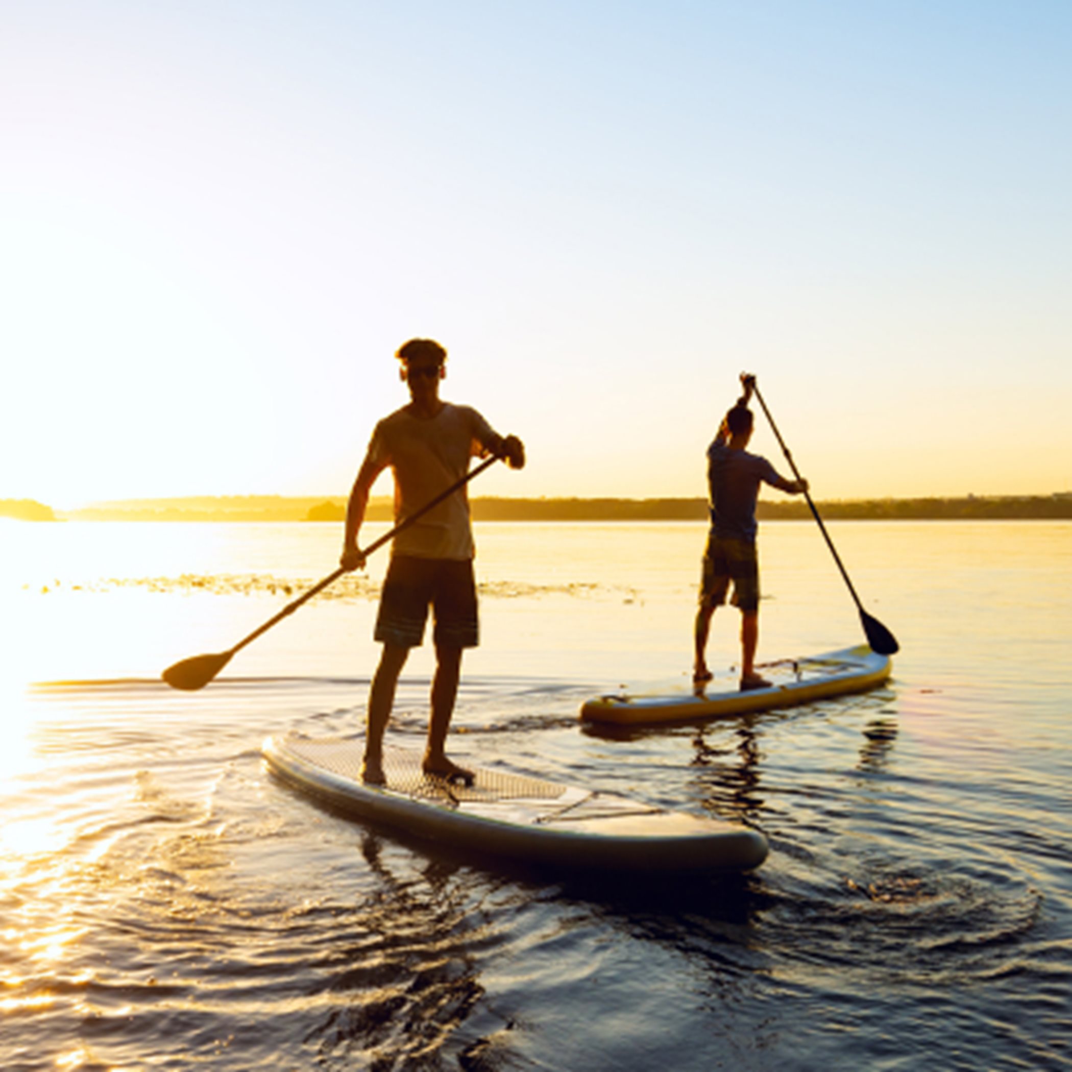 Men paddle boarding at sunset