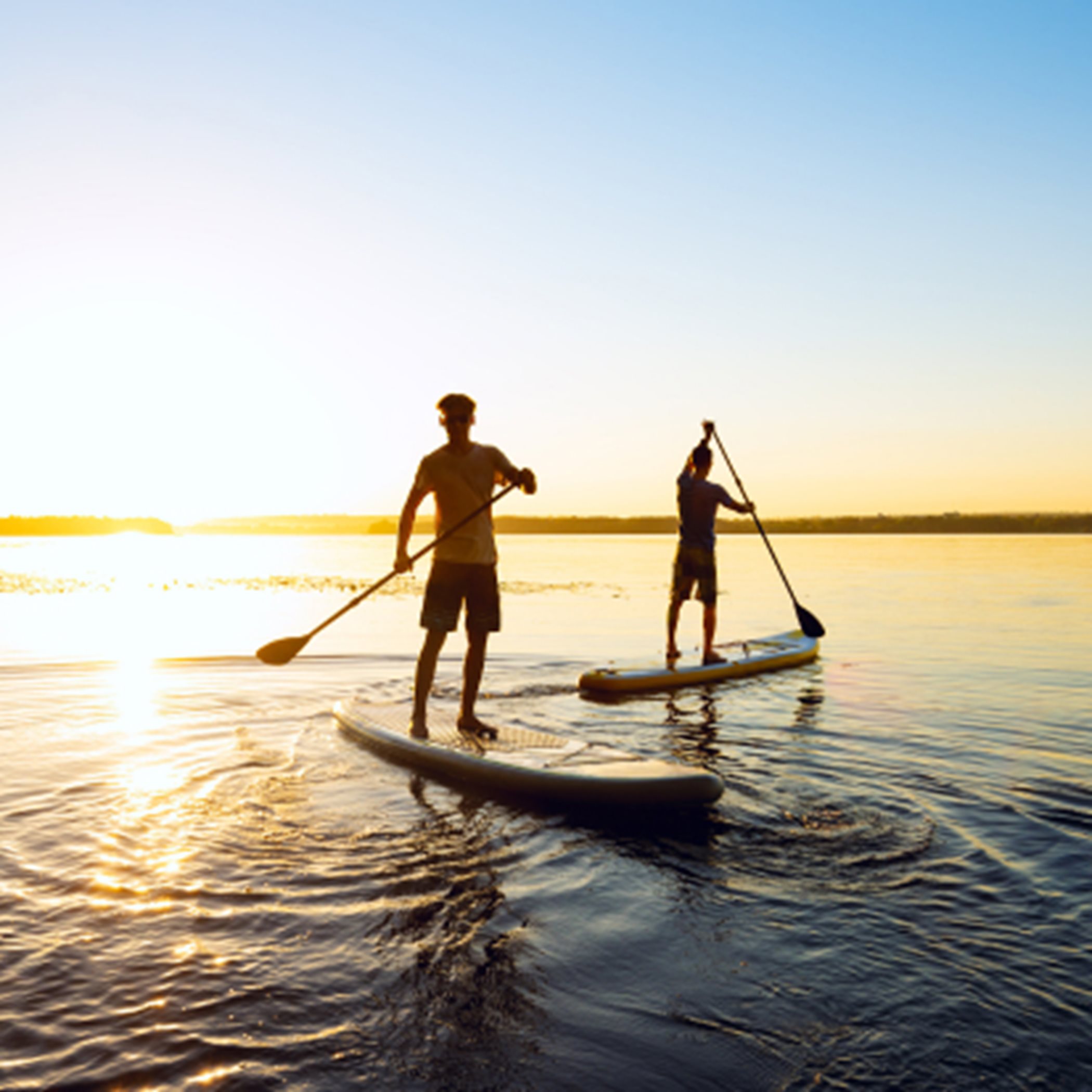 Men paddle boarding at sunset