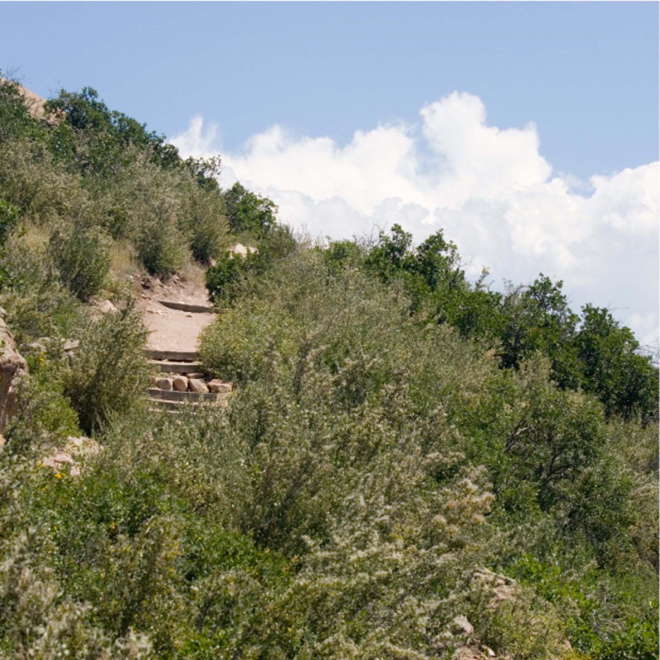 Castle Rock Trail 