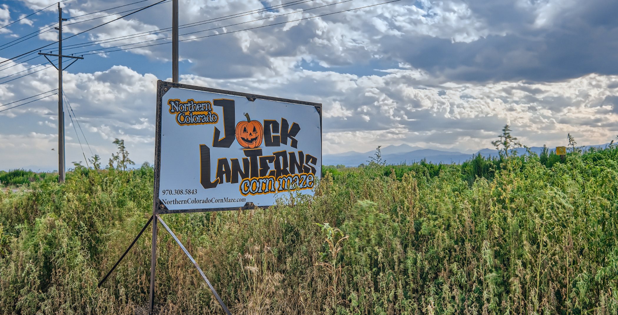 Jack Lanterns Northern Colorado Corn Maze