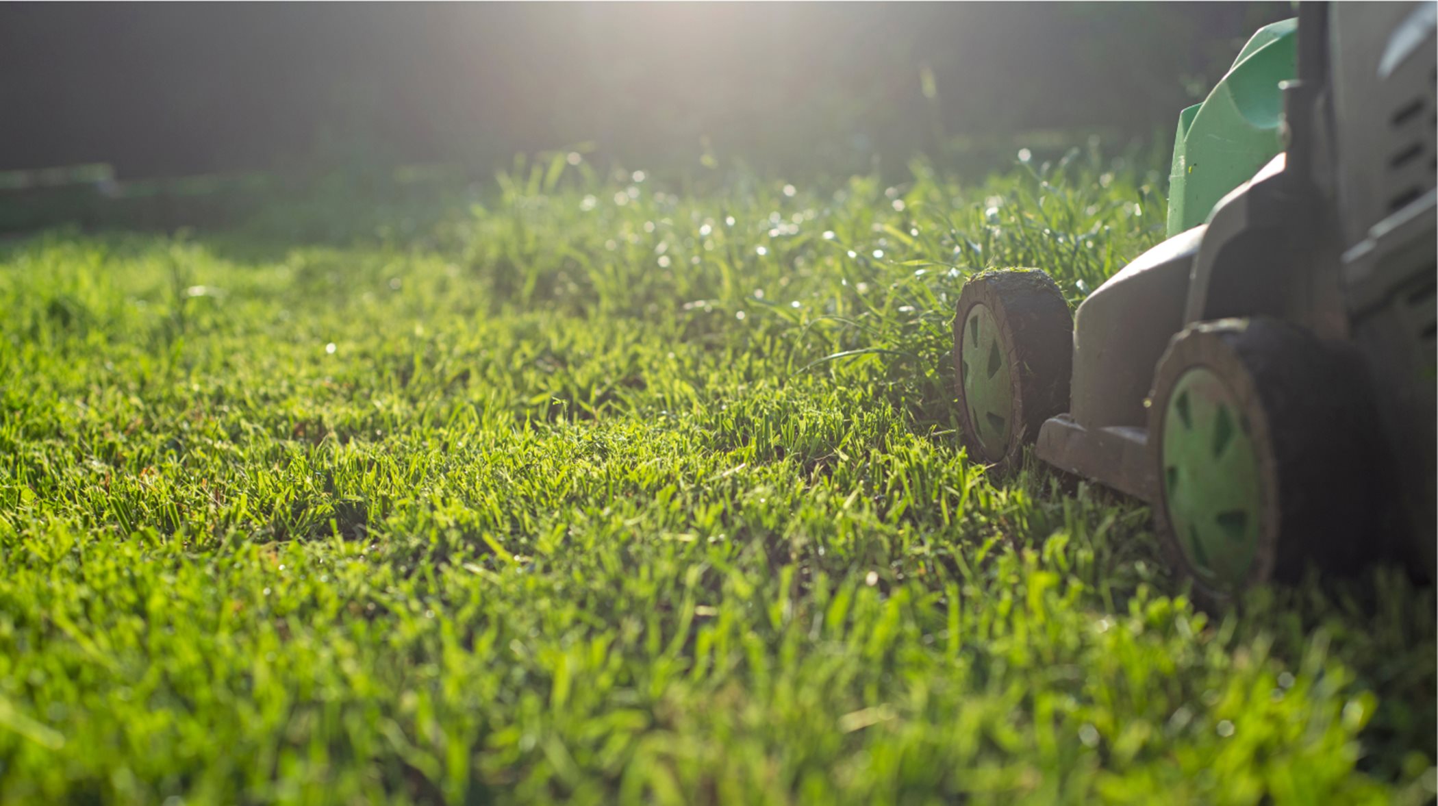 Close-up of lawnmower cutting grass