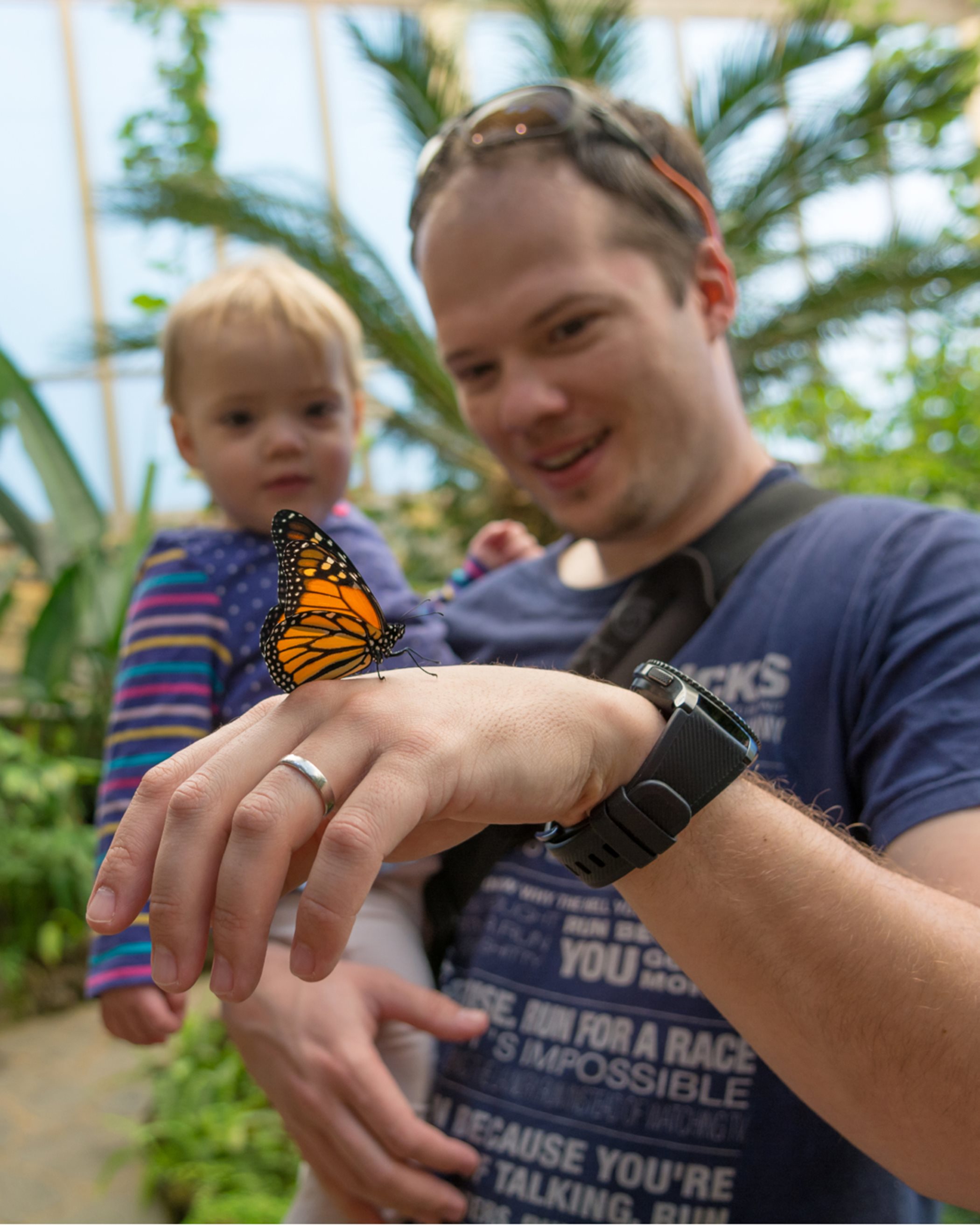 Father and child marveling butterfly