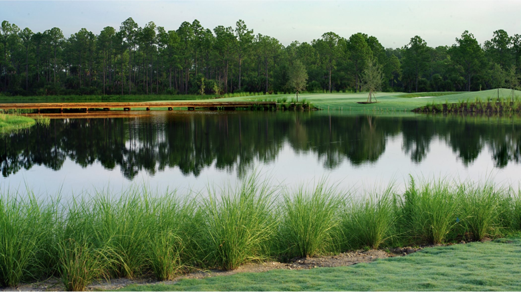 Hampton Lakes golf course