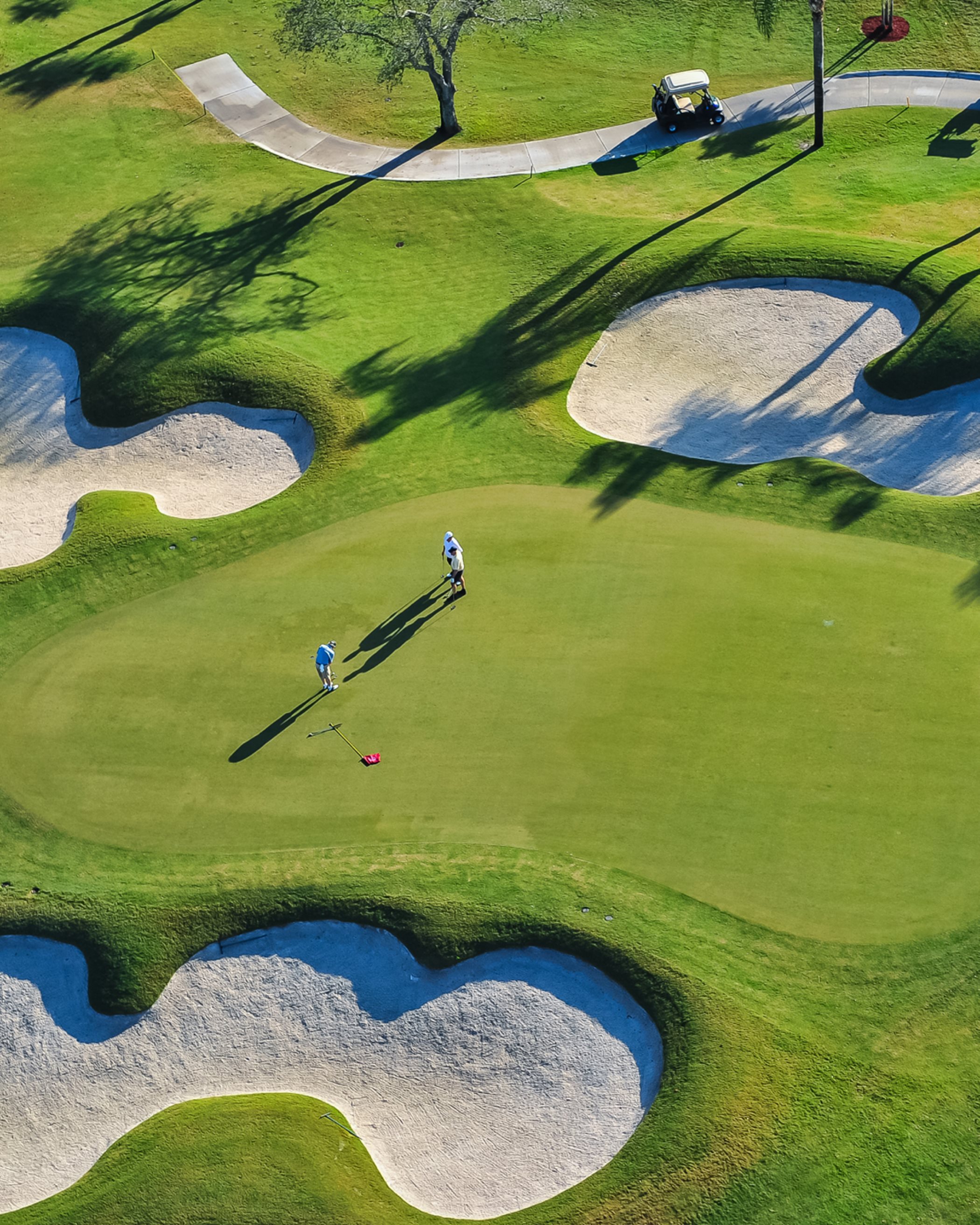 Golf green aerial view