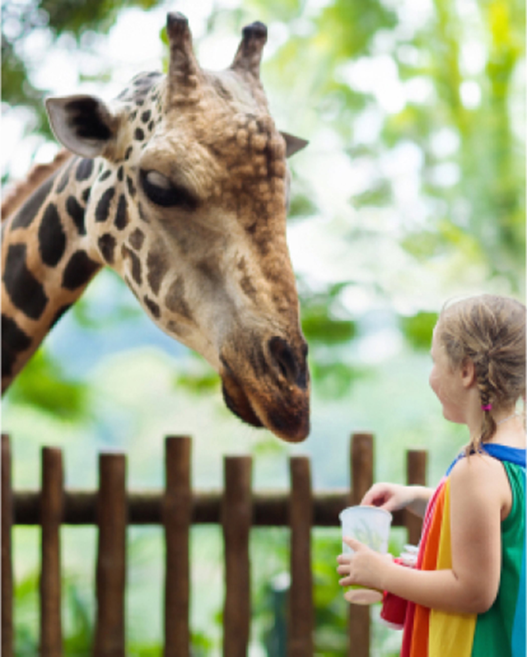 Child with giraffe