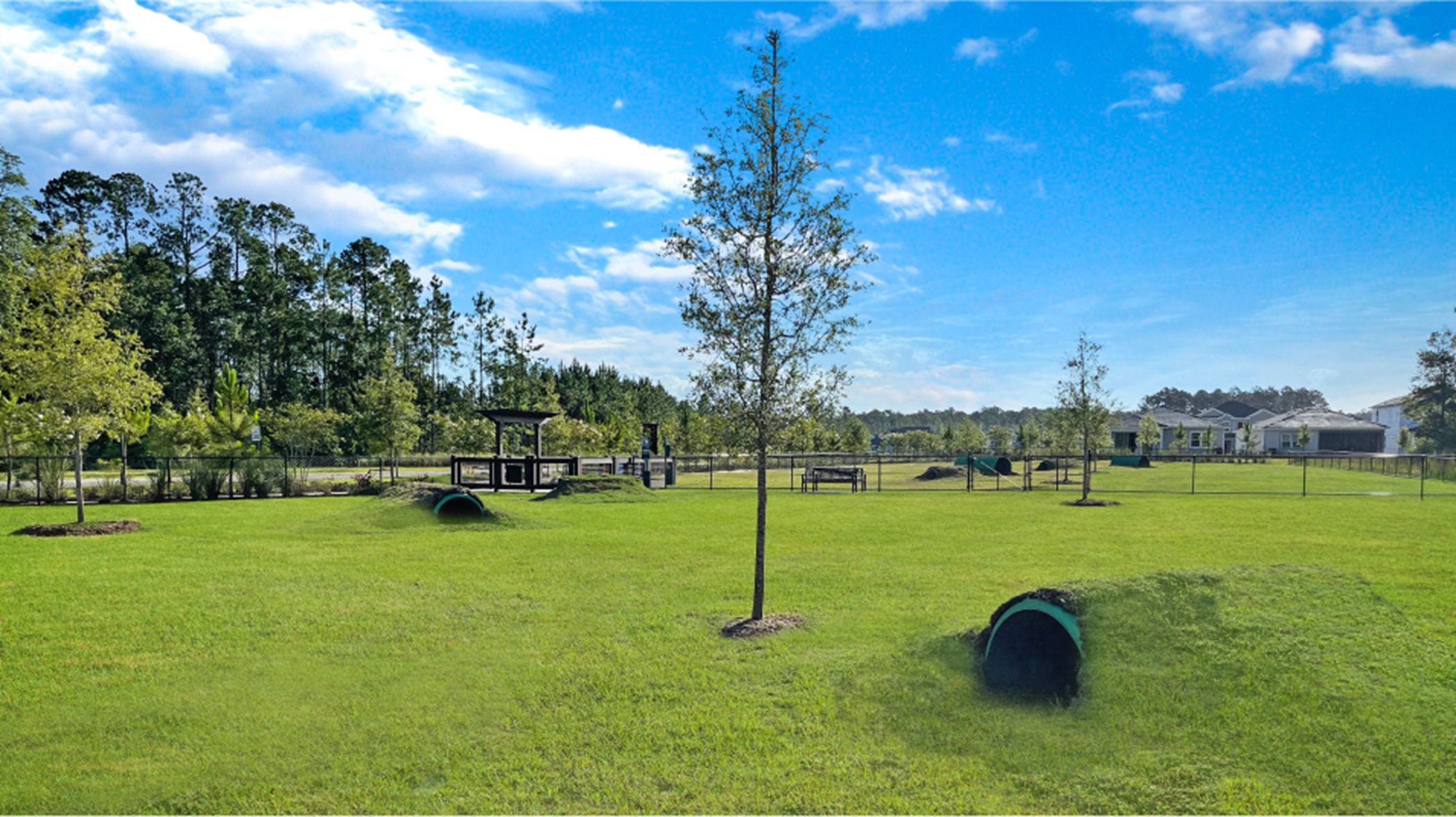 Saddle Oaks Dog Park