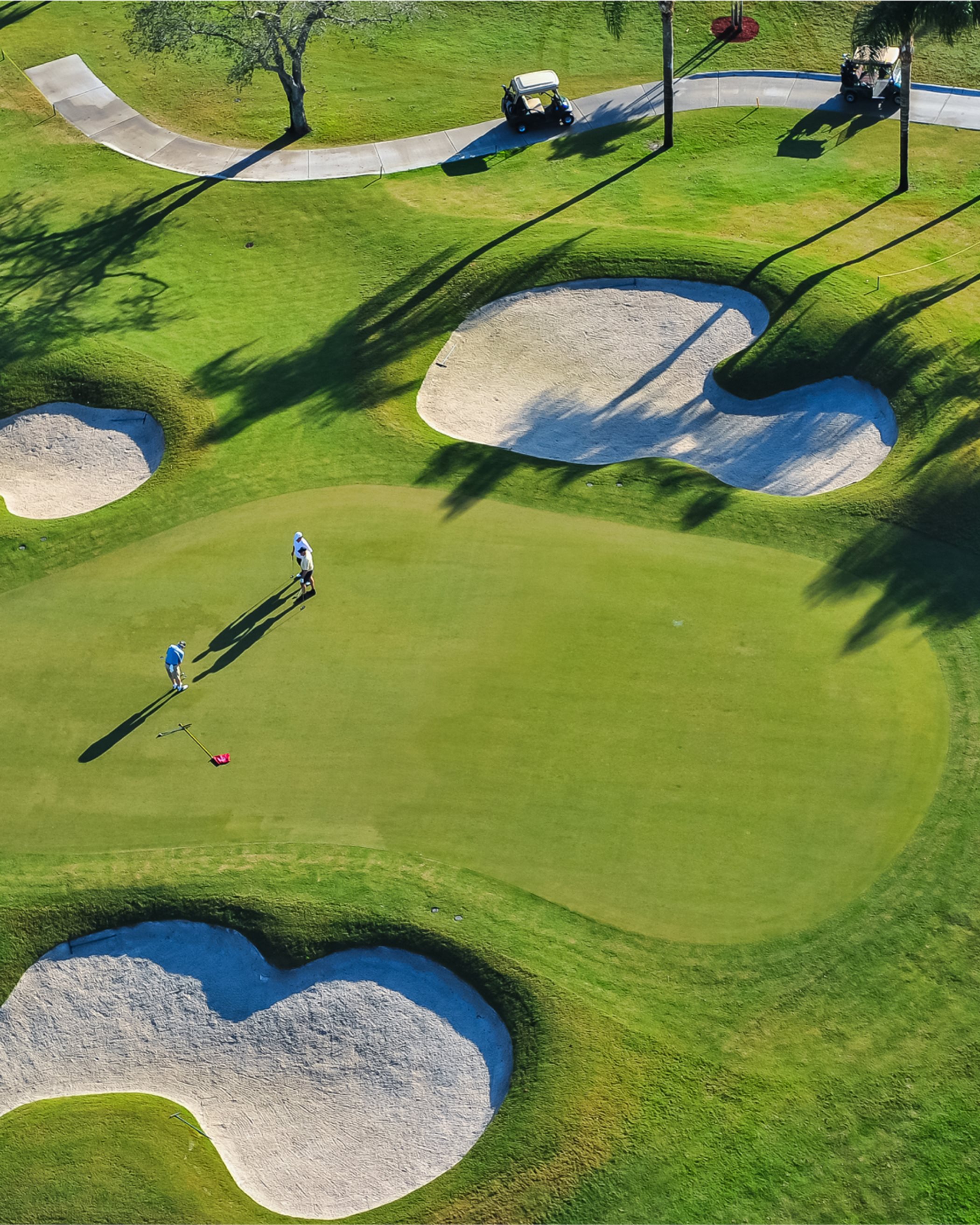 Aerial view of golf greens