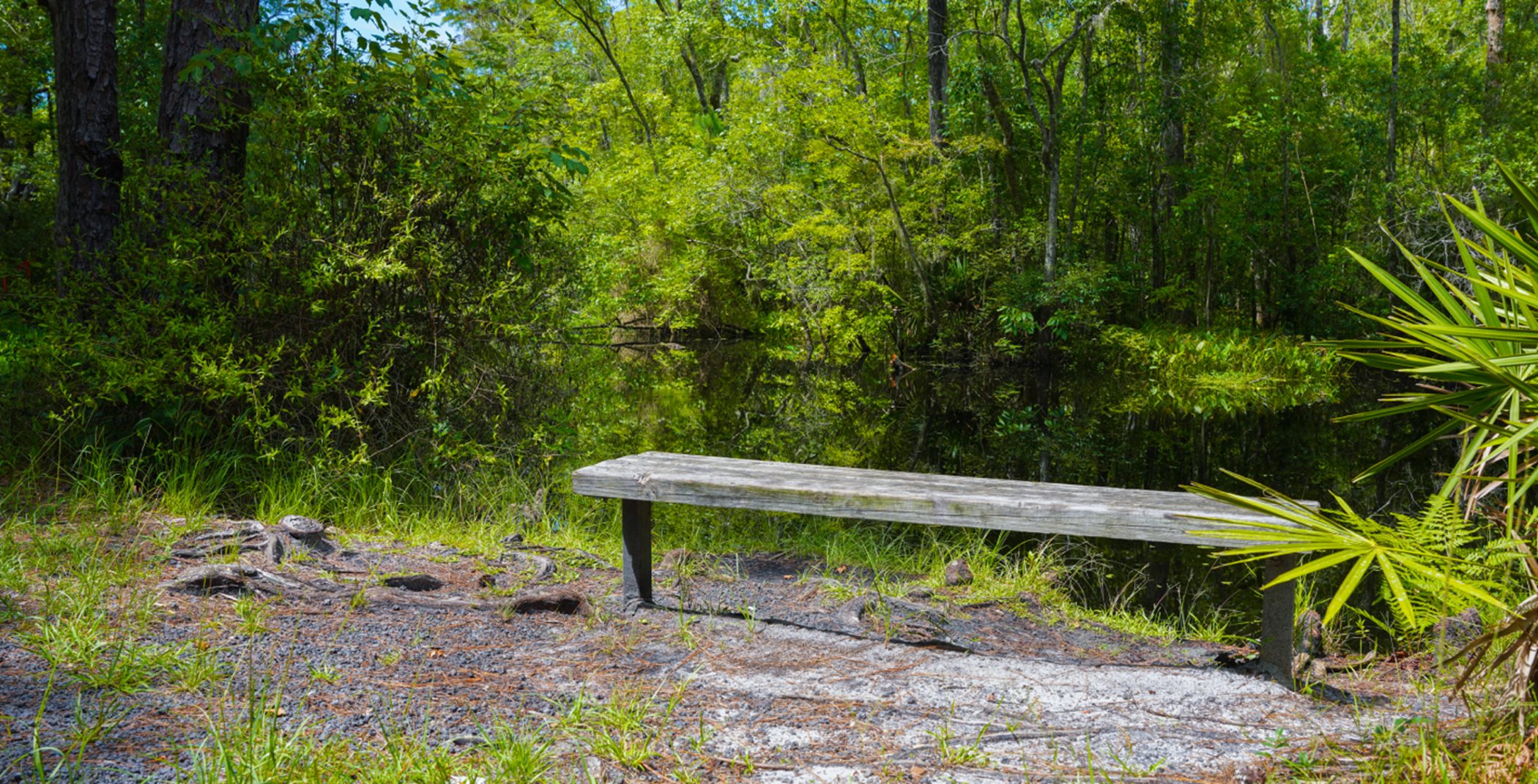 Bench in Four Creeks State Park