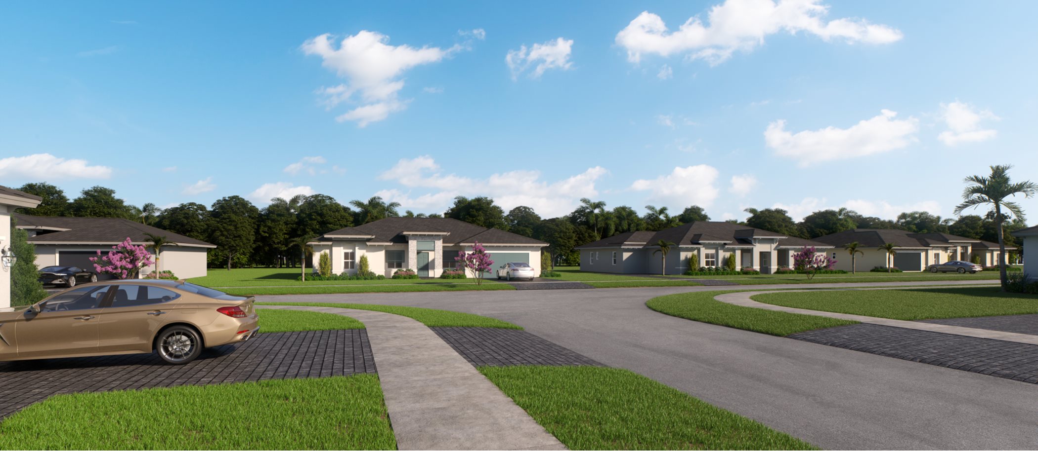 Street view of Serra Collection homes