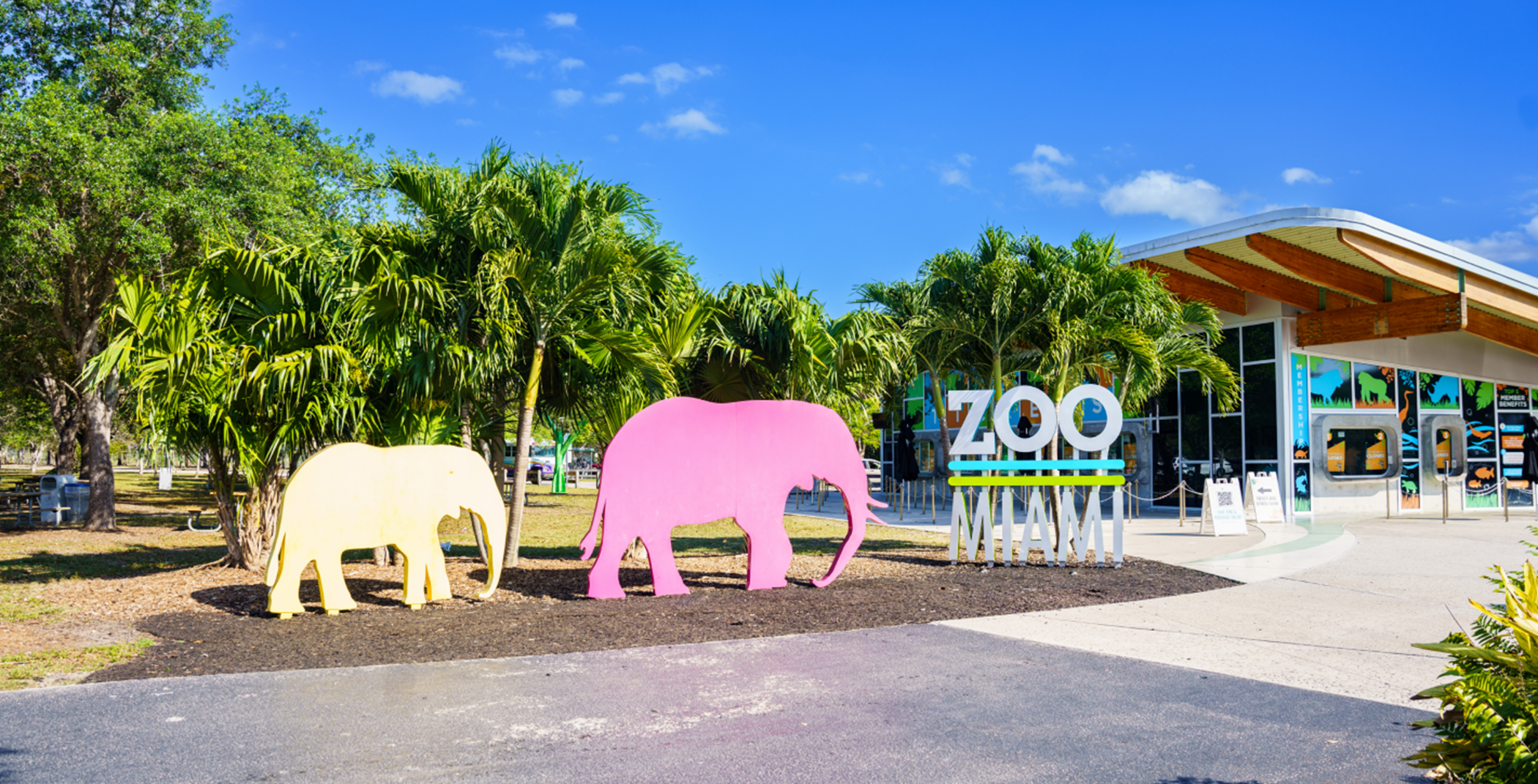 Local Zoo