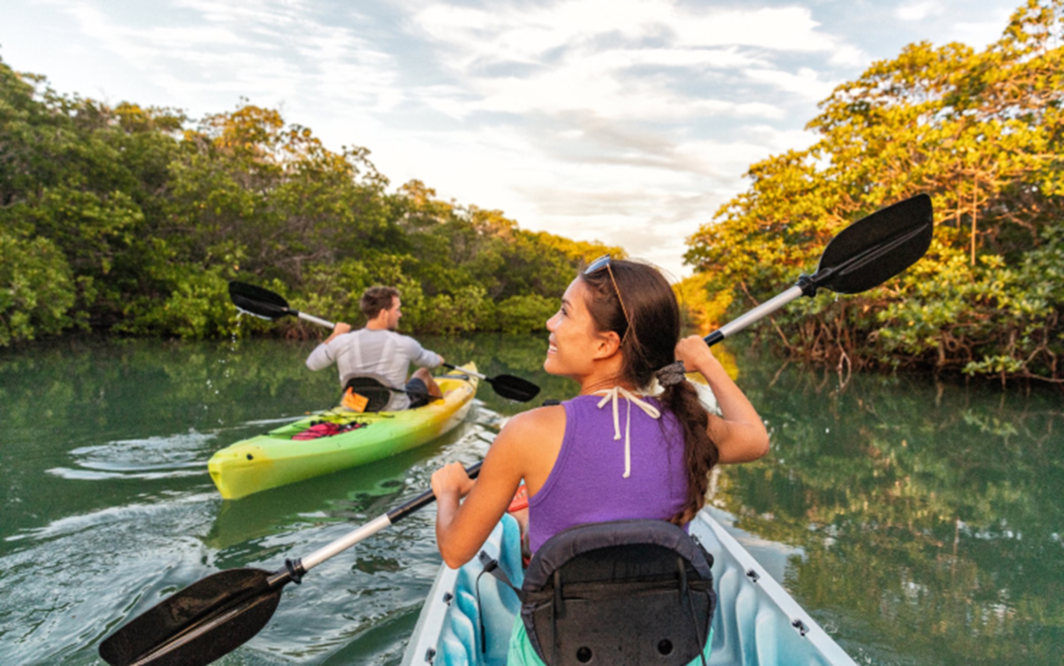 Pine Vista mangroves as you kayak at the nearby Black Point Marina