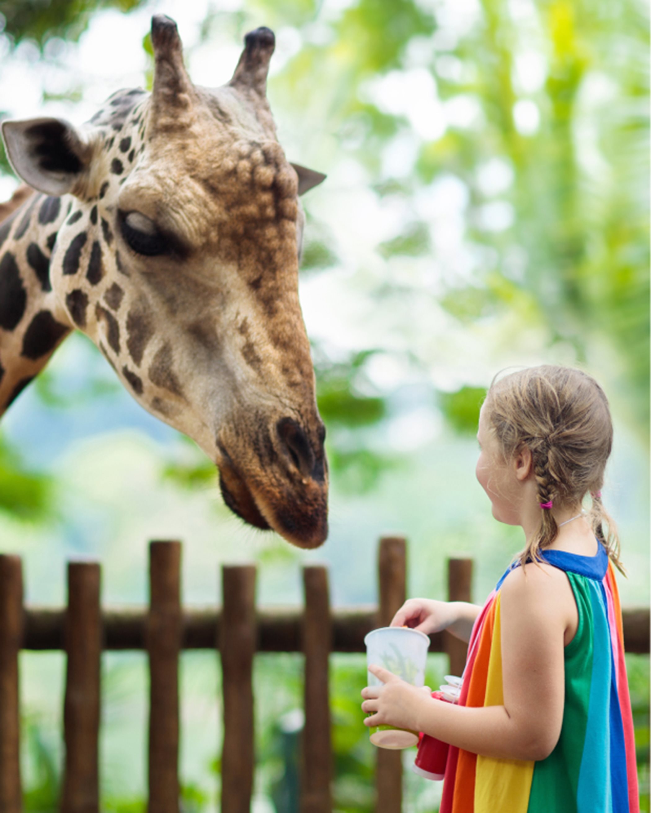 Girl next to a giraffe