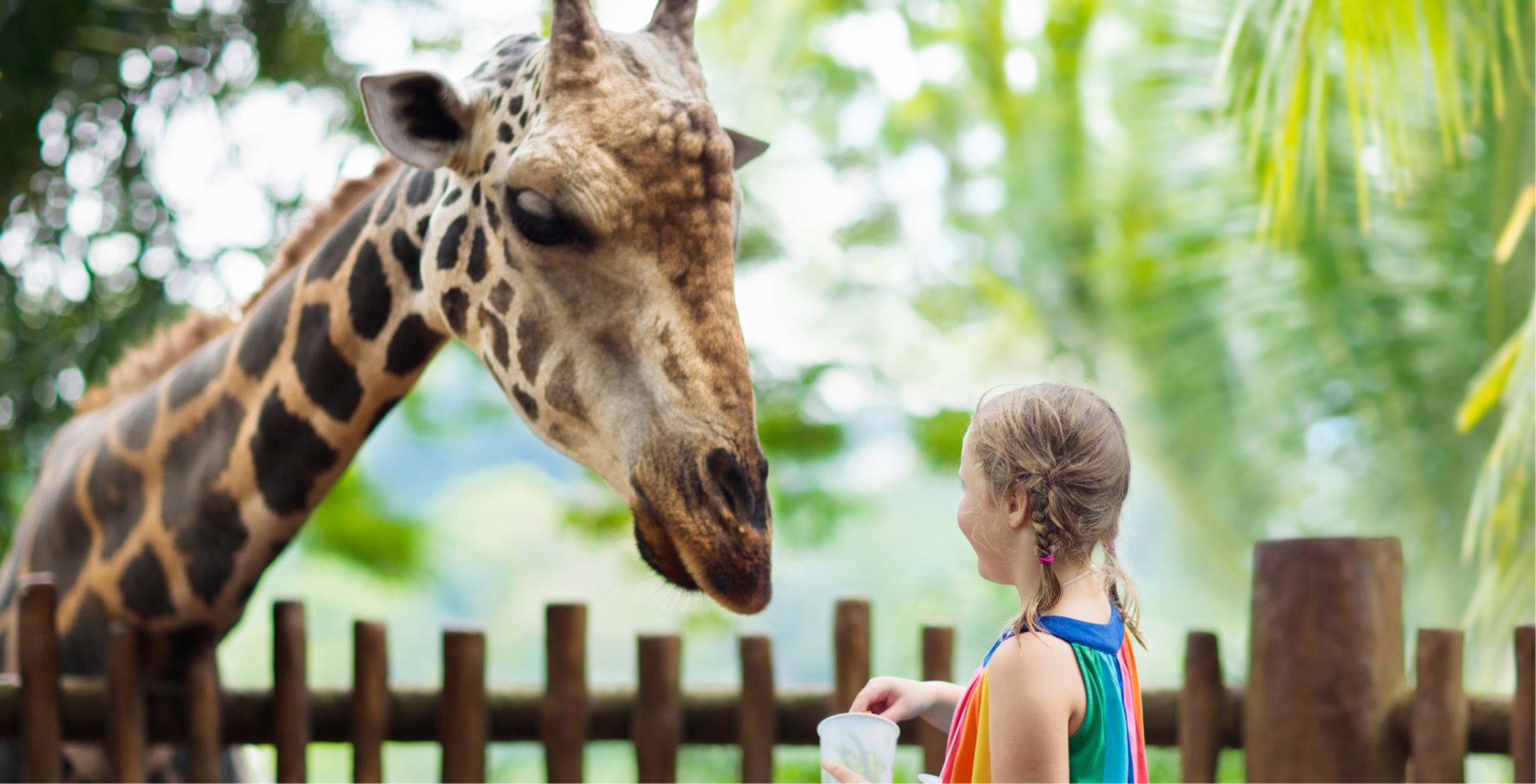Little girl with a giraffe