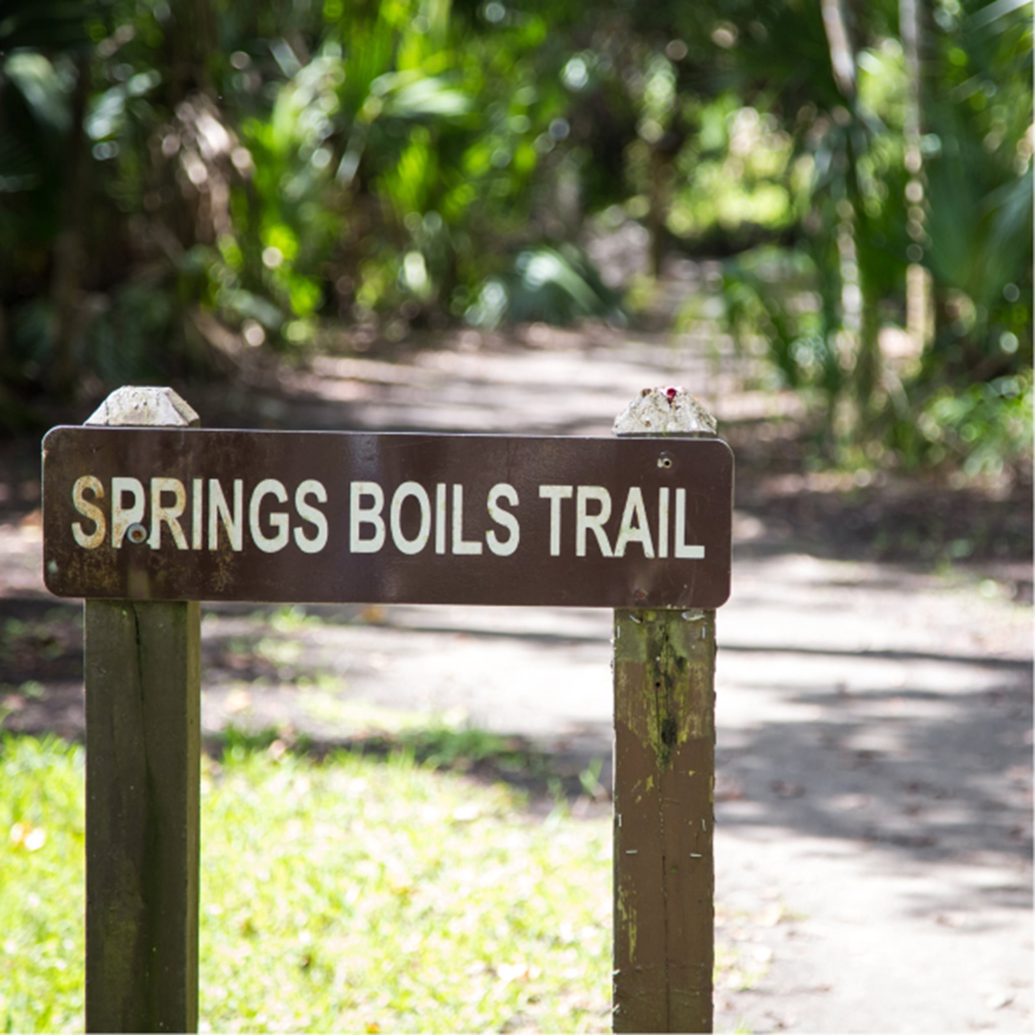 Silver Glen Springs Recreational Area signage