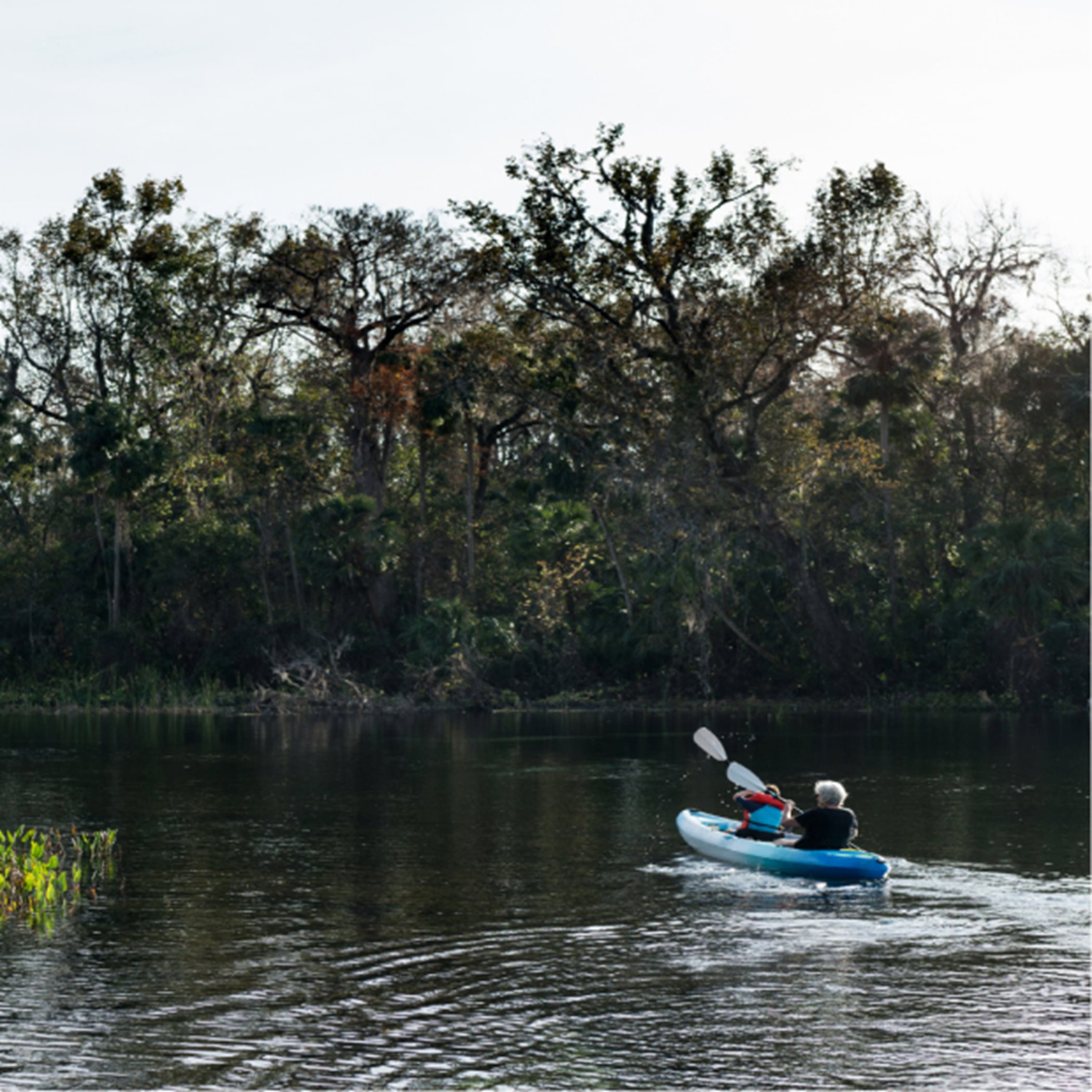 Kayaker in Ocala waters