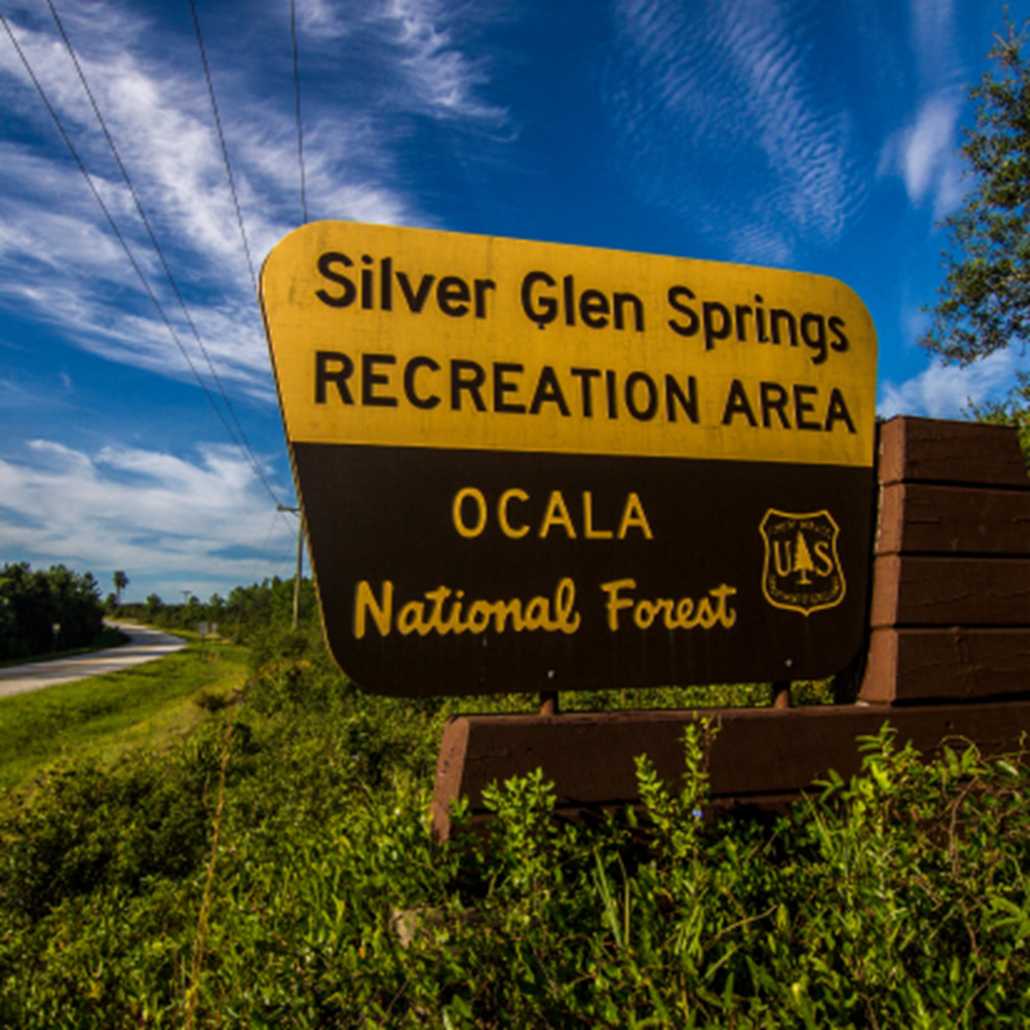 Silver Glen Springs
