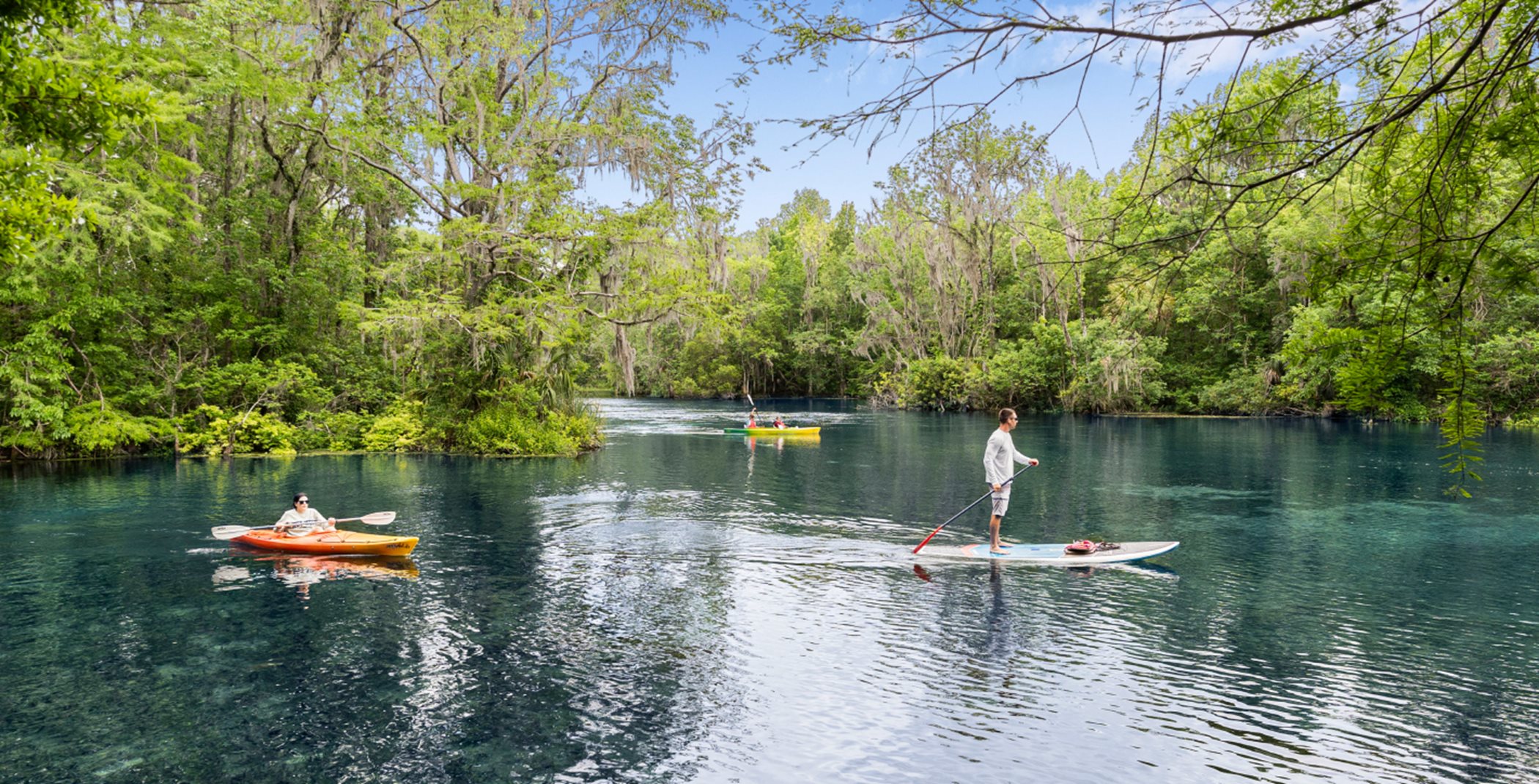 Stand-up paddle boarders and Kayakers in Silver Springs State Recreation Area