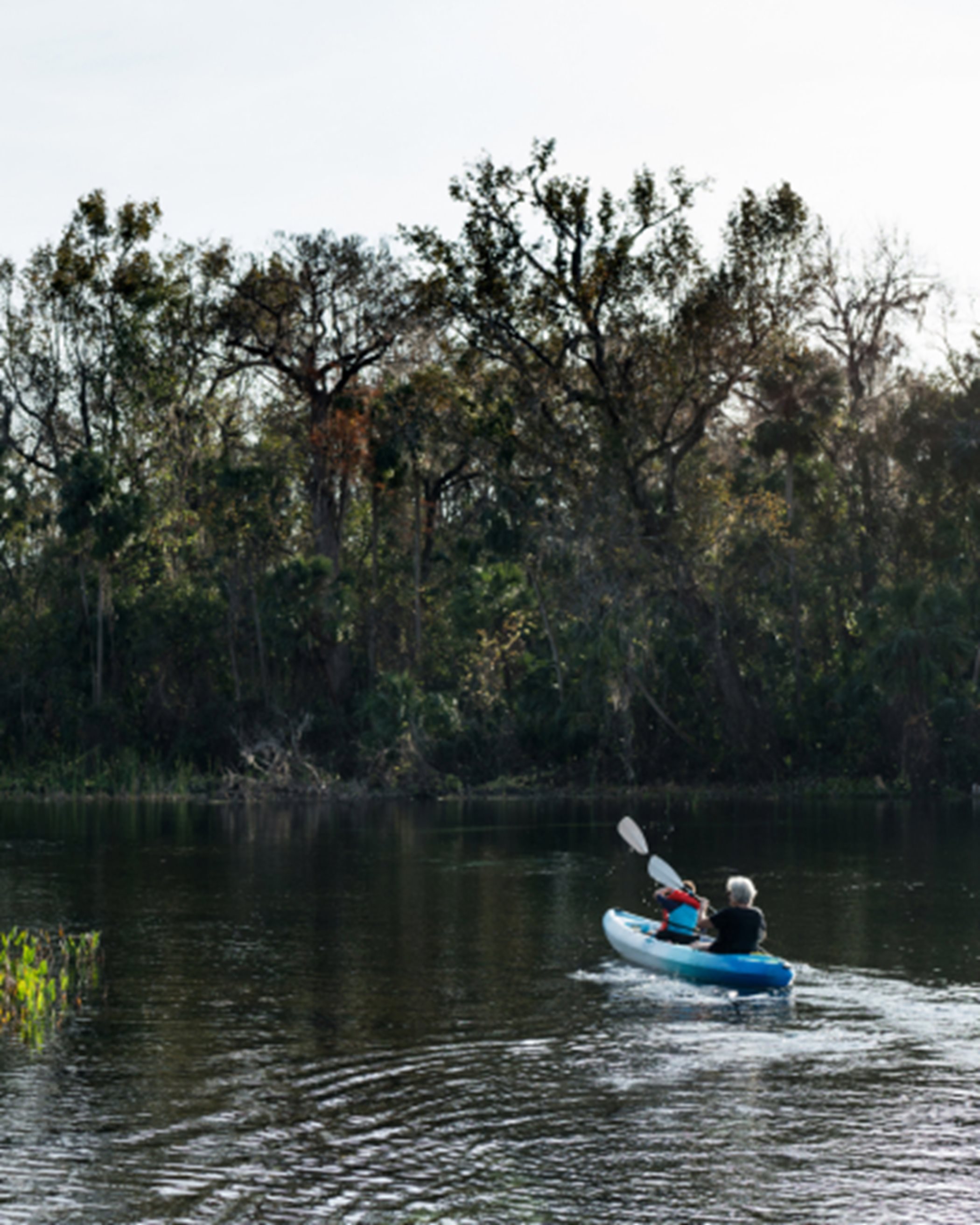 Kayaker in an Ocala Waterway