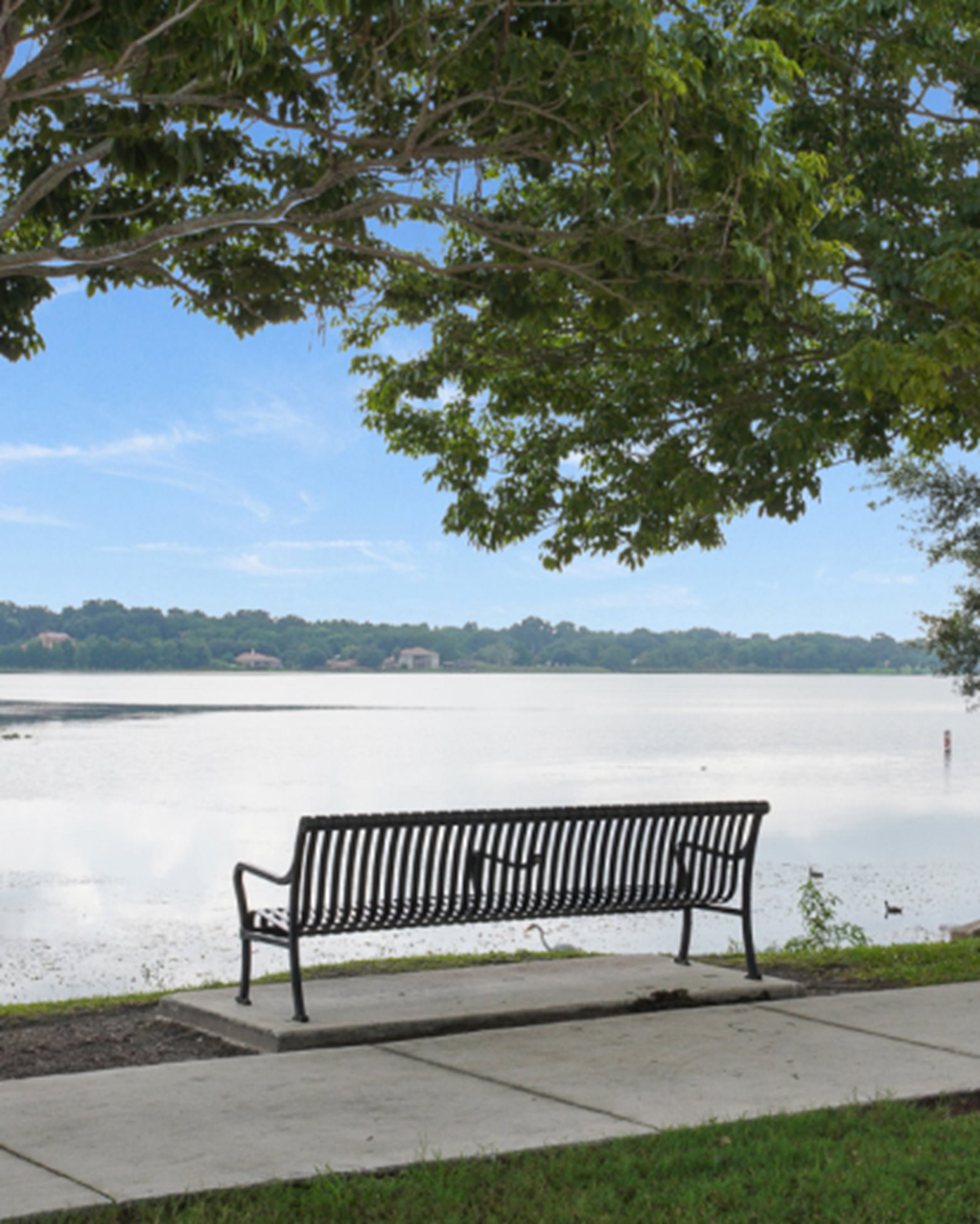 A bench by a lake