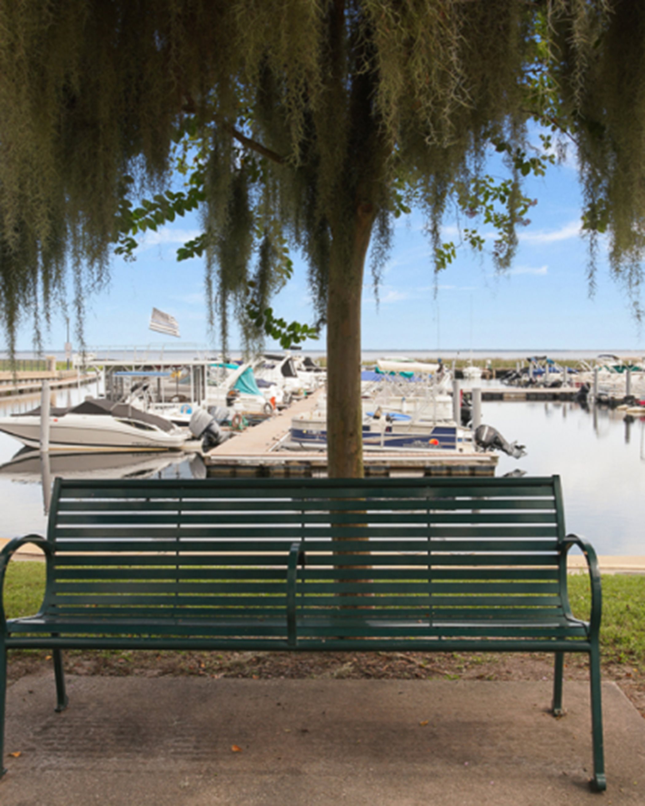 Local Marina and park bench