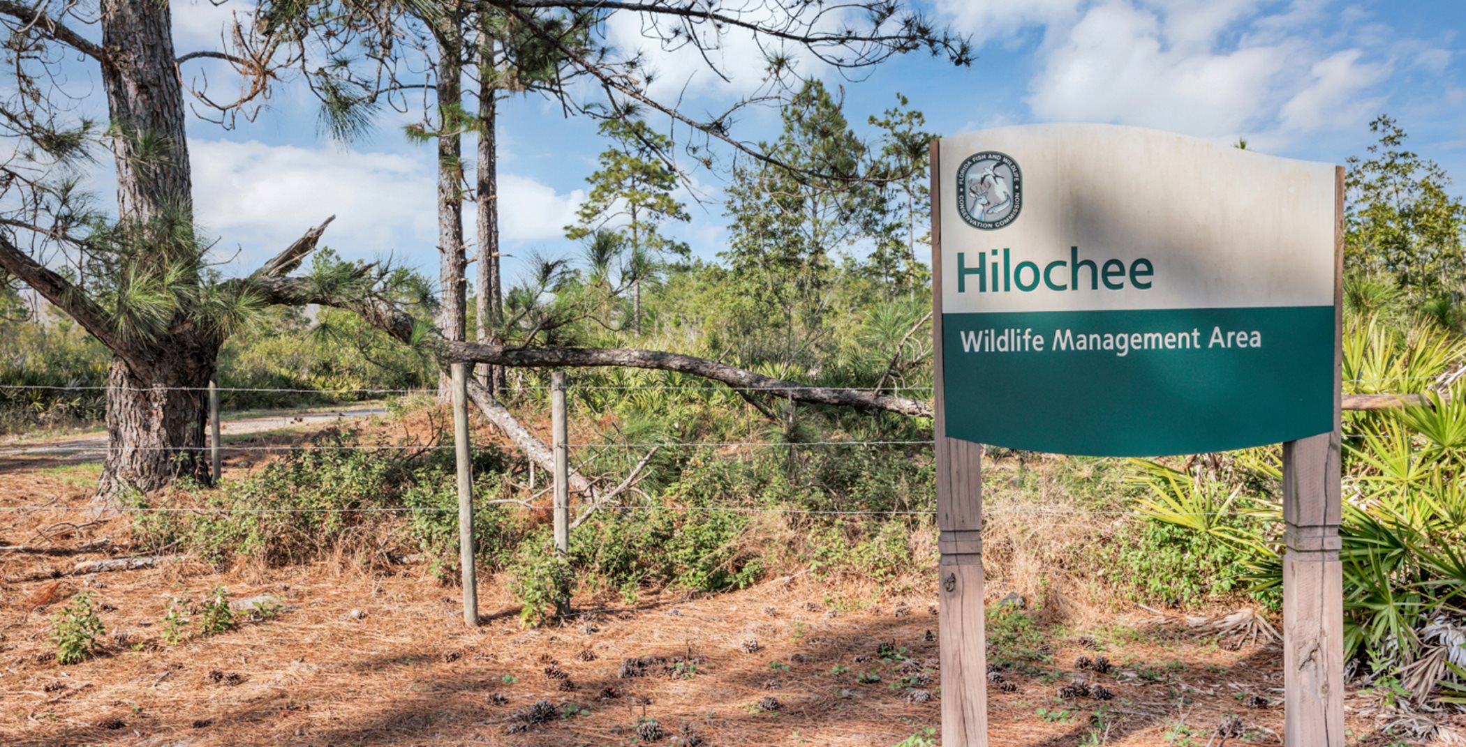 Hilochee Wildlife Management Area