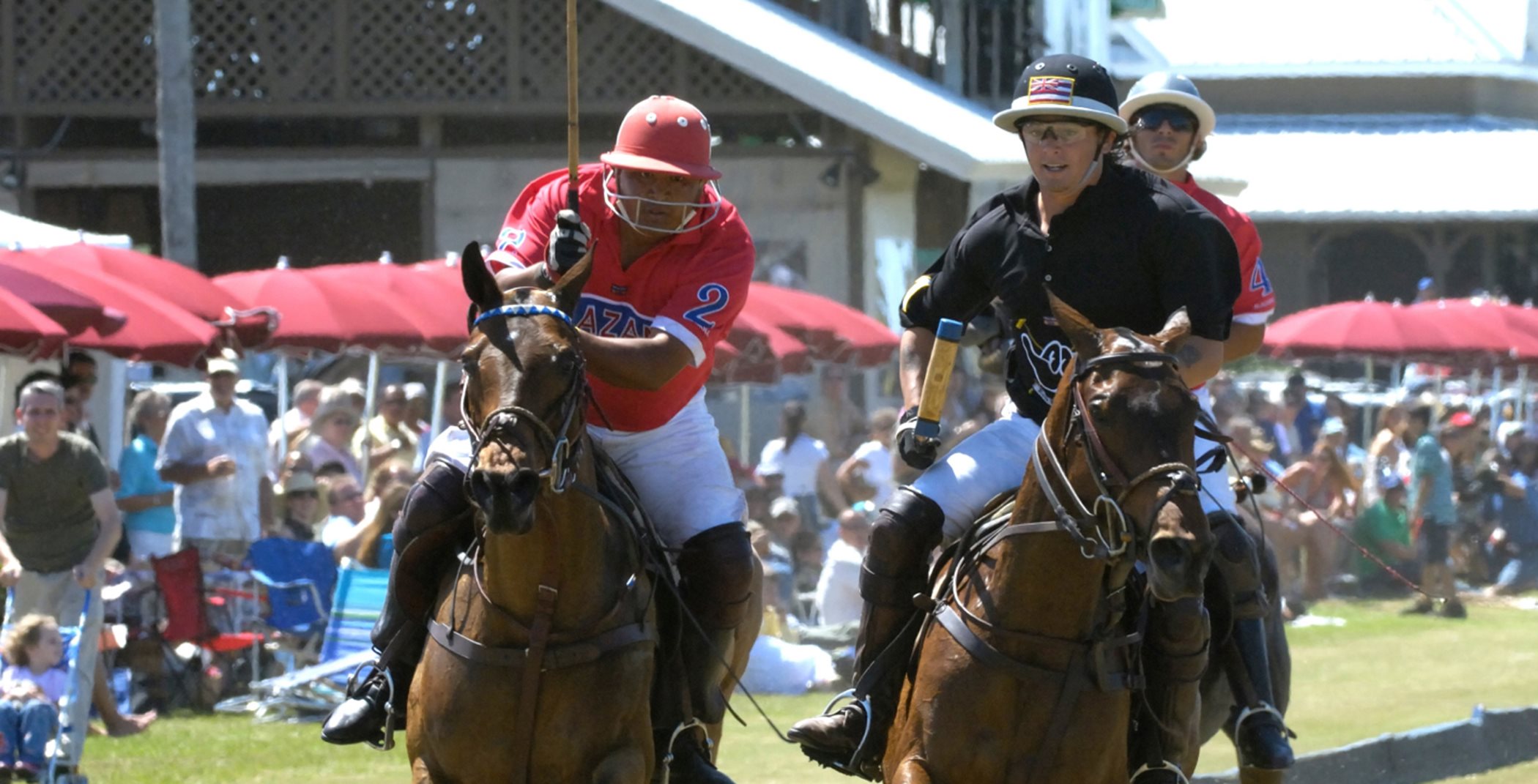 Polo players and horses