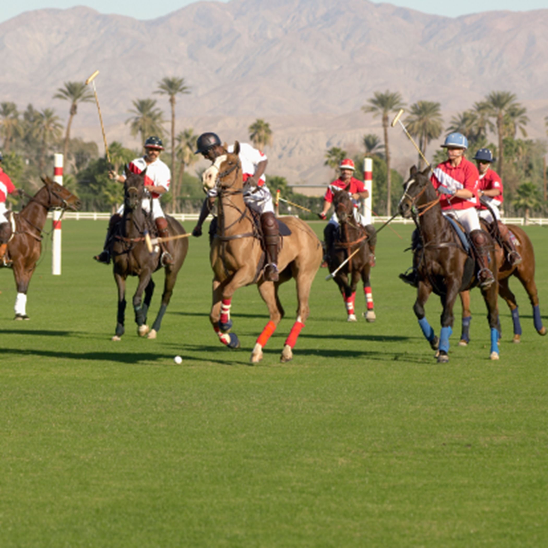 Group participating in a polo match