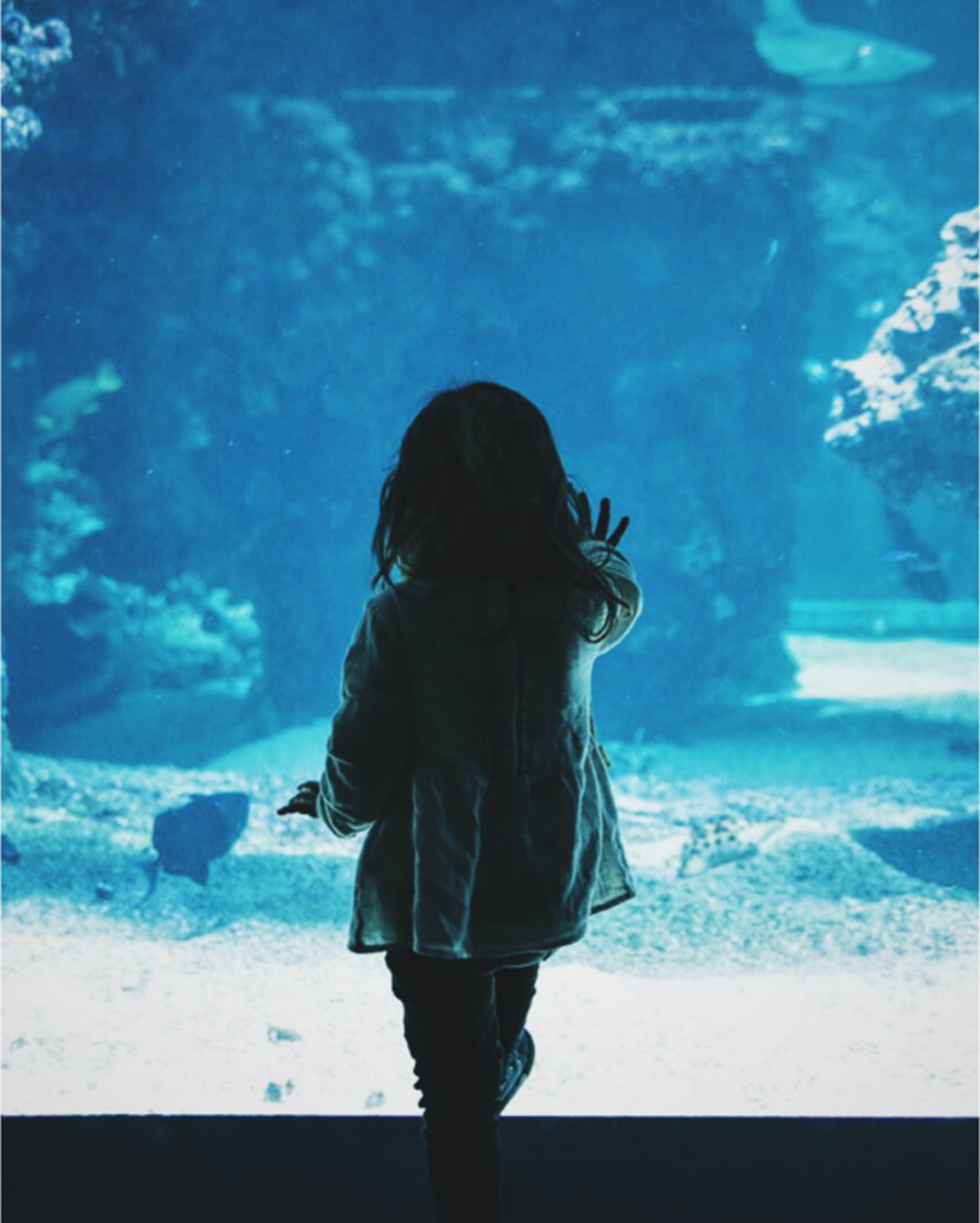 A child looking into an aquarium