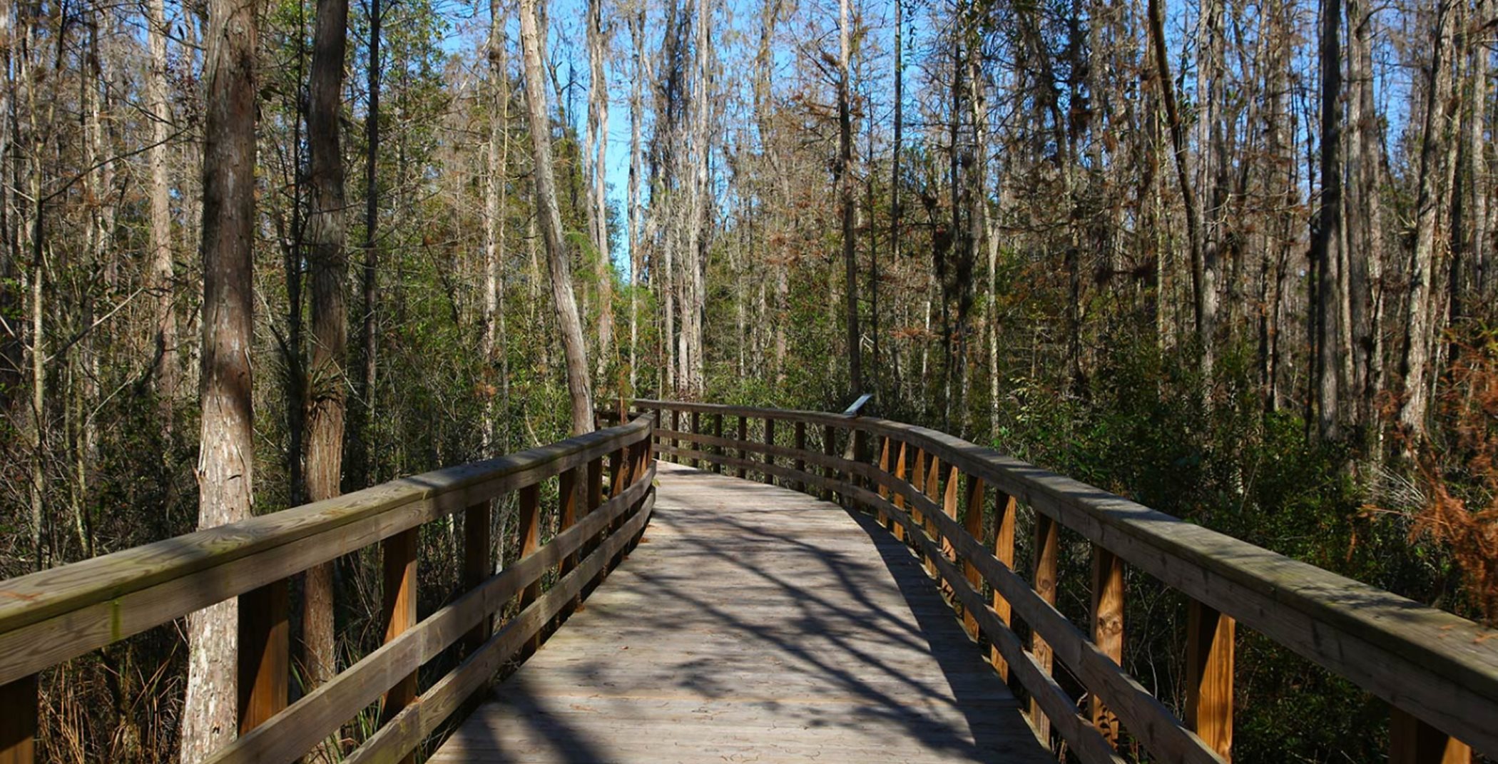 Little Manatee River State Park Trail