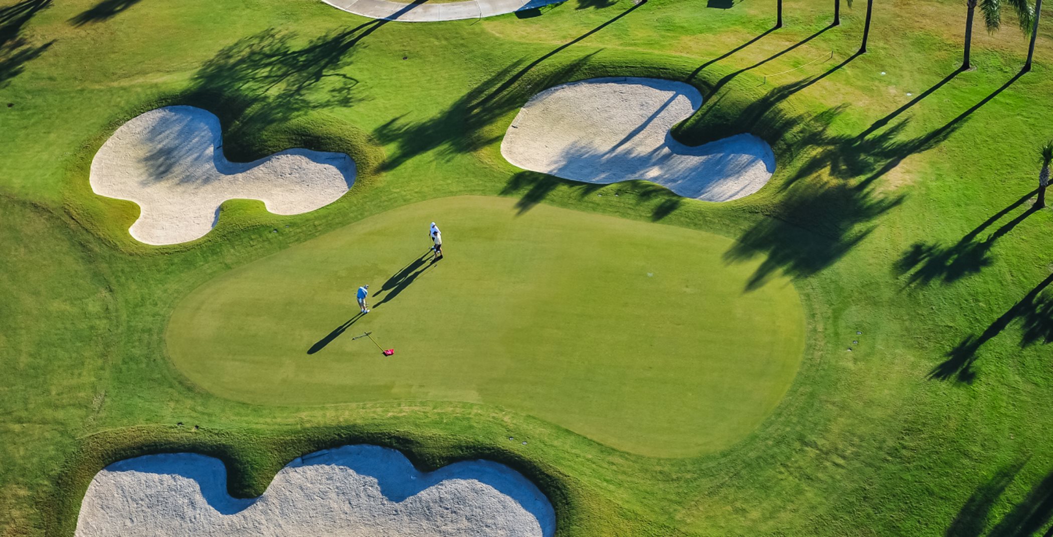 Aerial view of golf green