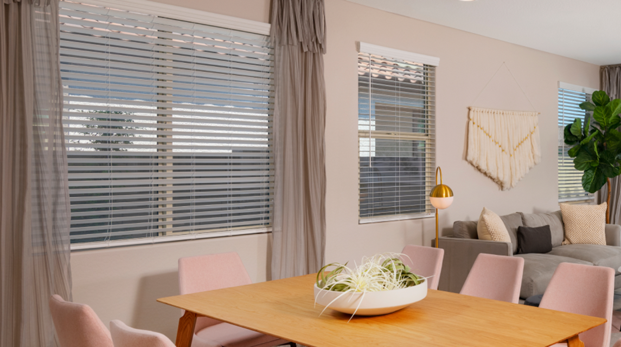 Window blinds in shared space