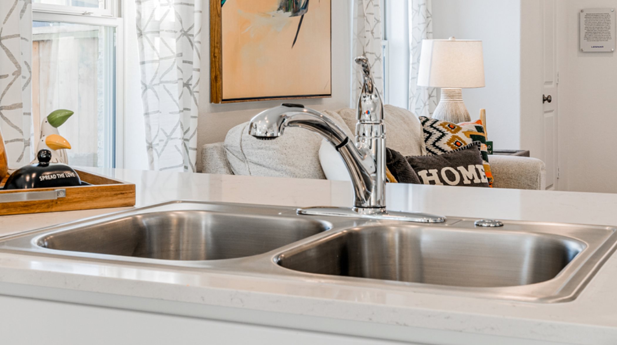 dual-basin sink and designer faucet