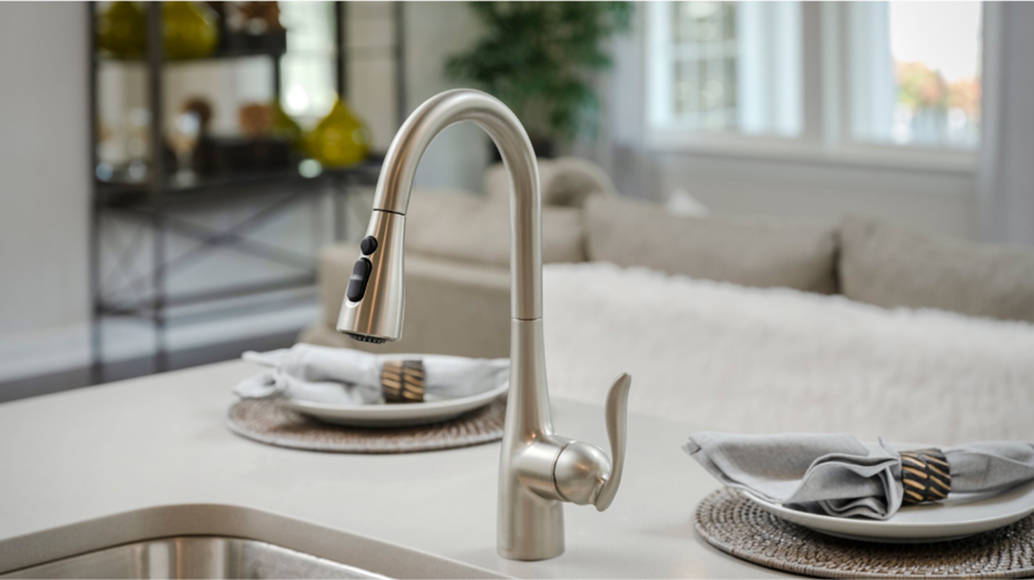 James Kitchen Faucet and sink