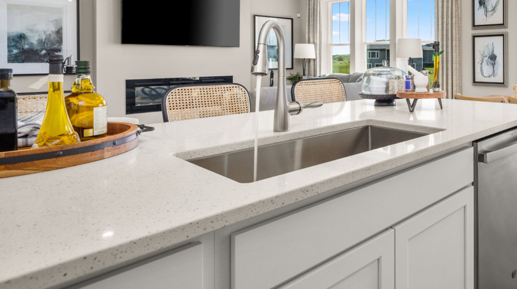 Undermount stainless steel sink and Moen faucet