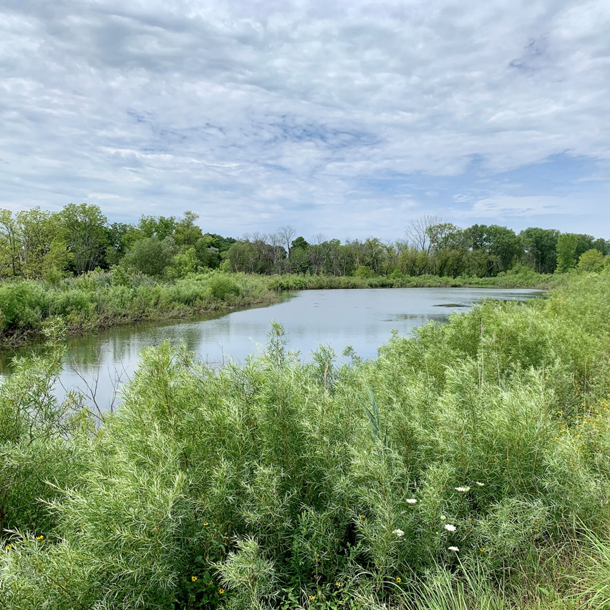Community trails offer scenic views of the central pond photo